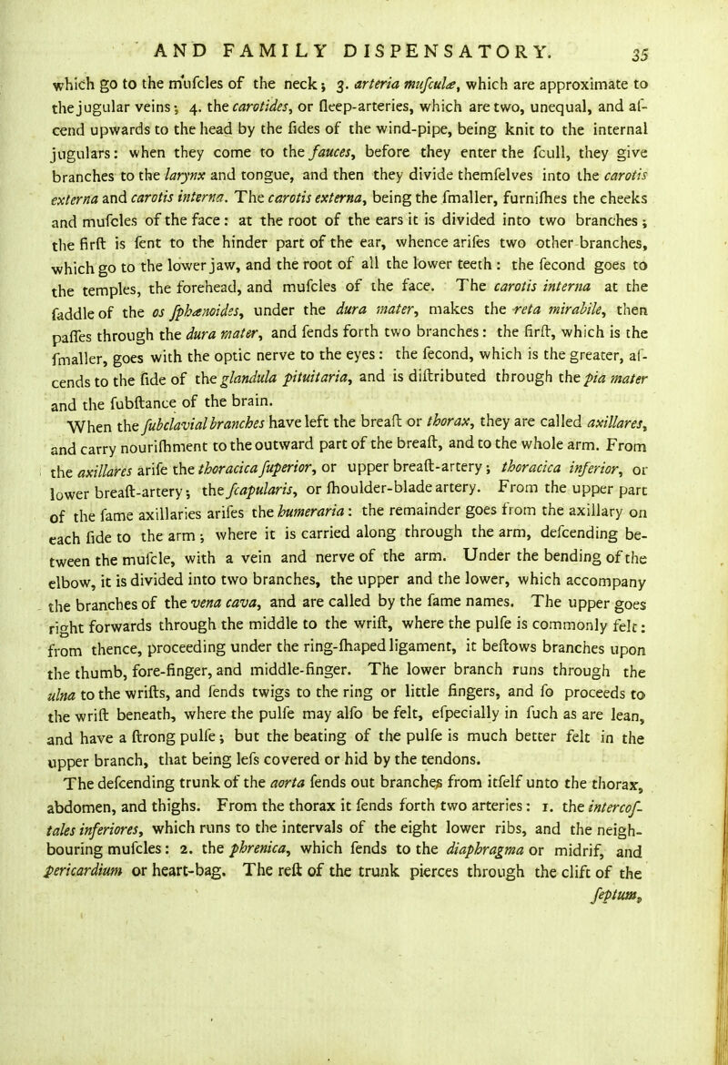 which go to the mufcles of the neck; 3. arteria mufcula, which are approximate to the jugular veins-, 4. the carotides, or fkep-arteries, which are two, unequal, and af- cend upwards to the head by the fides of the wind-pipe, being knit to the internal jugulars: when they come to the fauces, before they enter the fcull, they give branches to the larynx and tongue, and then they divide themfelves into the carotis externa and carotis interna. The carotis externa, being the fmaller, furnifhes the cheeks and mufcles of the face: at the root of the ears it is divided into two branches ; the firft is fent to the hinder part of the ear, whence arifes two other branches, which go to the lower jaw, and the root of all the lower teeth : the fecond goes to the temples, the forehead, and mufcles of the face. The carotis interna at the faddle of the os fphanoidss, under the dura mater, makes the reta mirabile, then paffes through the dura r/iater, and fends forth two branches : the firft, which is the fmaller, goes with the optic nerve to the eyes: the fecond, which is the greater, af- cends to the fide of theglandula pituitaria, and is diftributed through the pia mater and the fubftance of the brain. When the fubclavialbranches have left the bread or thorax, they are called axillares, and carry nourishment to the outward part of the breaft, and to the whole arm. From the axillares arife the thoracicafuperior, or upper breaft-artery •, thoracica inferior, or lower breaft-artery •, xhefcapularis, or fhoulder-blade artery. From the upper part of the fame axillaries arifes the humeraria: the remainder goes from the axillary on each fide to the arm ; where it is carried along through the arm, defcending be- tween the mufcle, with a vein and nerve of the arm. Under the bending of the elbow, it is divided into two branches, the upper and the lower, which accompany the branches of the vena cava, and are called by the fame names. The upper goes right forwards through the middle to the wrift, where the pulfe is commonly felt: from thence, proceeding under the ring-fhaped ligament, it beftows branches upon the thumb, fore-finger, and middle-finger. The lower branch runs through the ulna to the wrifts, and fends twigs to the ring or little fingers, and fo proceeds to the wrift beneath, where the pulfe may alfo be felt, efpecially in fuch as are lean, and have a ftrong pulfe; but the beating of the pulfe is much better felt in the upper branch, that being lefs covered or hid by the tendons. The defcending trunk of the aorta fends out branches from itfelf unto the thorax, abdomen, and thighs. From the thorax it fends forth two arteries: 1. the intercof- tales inferiores, which runs to the intervals of the eight lower ribs, and the neigh- bouring mufcles: 2. the phrenica, which fends to the diaphragma or midrif, and pericardium or heart-bag. The reft of the trunk pierces through the clift of the feptum,