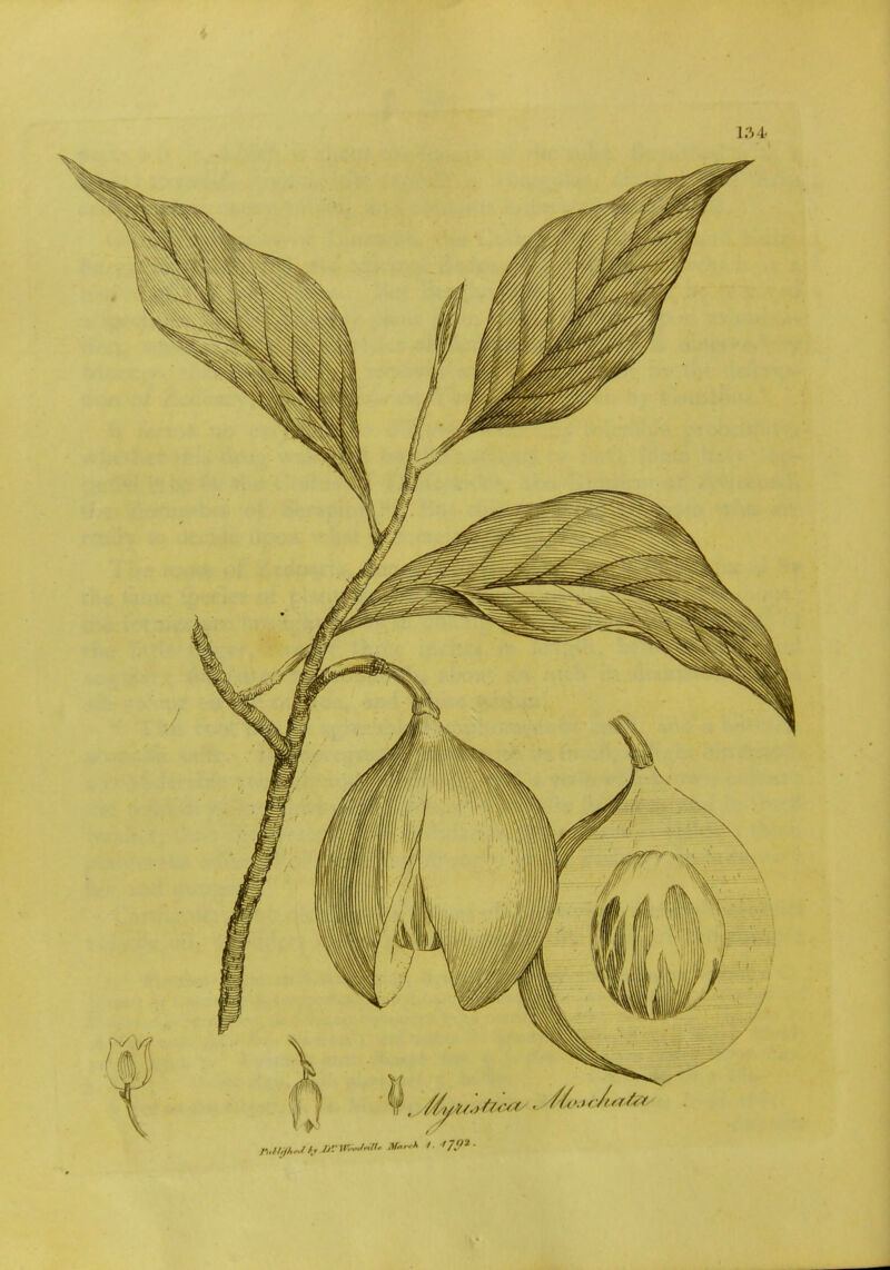 13 I