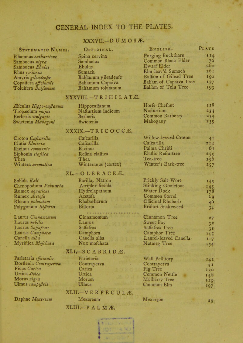 XXXVII—D UMOSiE. Ststematic Names. Rhamnus catharticus Sambucus nigra Sambucus Ebulus Rhus coriaria Amyris gileadetifis Copaifera officinalis Toluifera Balfamum Officinal. Spina cervina Sambucus Ebulus Sumach Balfamum gileadenfe Balfamum Copaiva Balfamum tolutanum ^Efculus Hippo-cajianum Tropaeolum majus Berberis vulgaris Swietenia Mahagoni Croton Cafcarilla Clutia Eluteria Ricinus communis Siphonia elajiica Thea Wintera aromatica Solfola Kali Chenopodium Vulvaria Rumex aquaticus Rumex Acetofa Rheum palmatum Polygonum Bijiorta Laurus Cinnamomum Laurus nobilis Laurus SaJJafras Laurus Camphora Canella alba Myriftica Mofcbata Parietaria officinalis Doritenia Contrayerva Ficus Carica Urtica dioica Morus nigra Ulmus campejlris Daphne Mezereum XXXVIII. —T RIHILAT^. Hippocaftanum Nafturtium indicum Berberis Swietenia XXXIX. —TR I CO CCiE. Cafcarilla Cafcarilla Ricinus Refina elaftica Thea Winteranus (cortex) XL.—O LERACE£. Barilla, Natron A triplex fcetida Hydrolapathum Acetofa Rhabarbarum Biftorta Cinnamomum Laurus SafTafras Camphora Canella alba Nux mofchata XLI.—S CABRIDiE. Parietaria Contrayerva Carica Urtica Morum Ulmus XLIL—V ERPECUL^E. Mezereum XLIIL—P ALMiE. English. Purging Buckthorn Common Flack Elder Dwarf Elder Elm-leav'd Sumach Balfam of Gilead Tree Balfam of Capaiva Tree Balfam of Tolu Tree Horfe-Chefnut Nafturtium Common Barberry Mahogany Willow-leaved Croton Cafcarilla Palma Chrilli Elaftic Refin-tree Tea-tree Winter's Bark-tree Prickly Salt-Wort Stinking Goofefoot Water Dock Common Sorrel Officinal Rhubarb Brhtort Snakeweed Cinnamon Tree Sweet Bay SafTafras Tree Camphor Tree Laurel-leaved Canella Nutmeg Tree Wall Pellitory Contrayerva Fig Tree Common Nettle Mulberry Tree Common Elm Mezcreon Plate 114 260 261 192 137 '93 128 233 234 23S 4i 211 61 255 256 257 H3 '45 178 69 46 34 27 3* 3' '55 117 '34 142 5» 130 146 129 197 2$ i 4