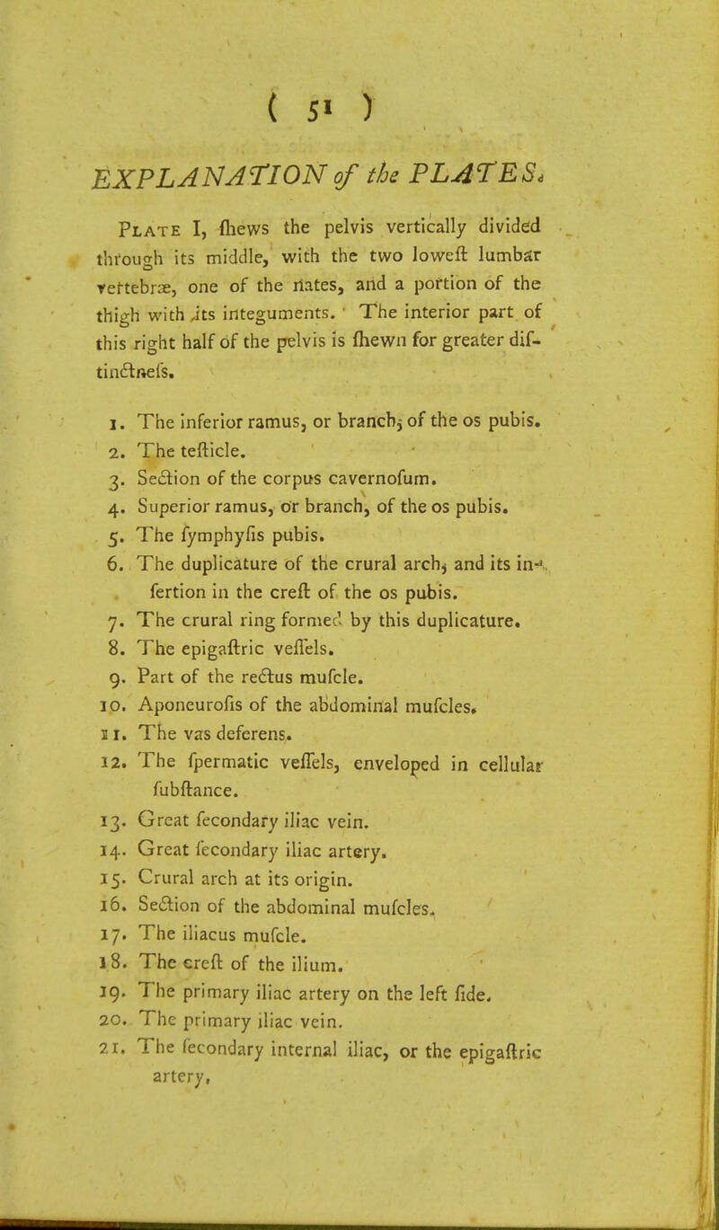 ( 5* ) ' \ EXPLANATION of the PLATE Si Plate I, fhews the pelvis vertically divided thi'ouo-h its middle, with the two loweft lumbar rettebrs, one of the riates, and a portion of the thigh with Jts integuments. • The interior part of this right half of the pelvis is (hewn for greater dif- tindfnefs, 1. The inferior ramus, or brancbj of the os pubis. 2. The tefticle. 3. Sedtion of the corpus cavernofurn. 4. Superior ramus, or branch, of the os pubis. 5. The fymphyfis pubis. 6. The duplicature of the crural arch^ and its in<. fertion in the creft of the os pubis. 7. The crural ring formed by this duplicature. 8. The epigaftric vefl'els. 9. Part of the redfus mufcle. 10. Aponeurofis of the abdominal mufcles. s I. The vas deferens. 12. The fpermatic vefl'els, enveloped in cellular fubftance. 13. Great fecondary iliac vein. 14. Great fecondary iliac artery. 15. Crural arch at its origin. 16. Sedlion of the abdominal mufcles. 17. The iliacus mufcle. 18. The creft of the ilium. 19. The primary iliac artery on the left fide. 20. The primary iliac vein. The fecondary internal iliac, or the epigaftric artery, 21.
