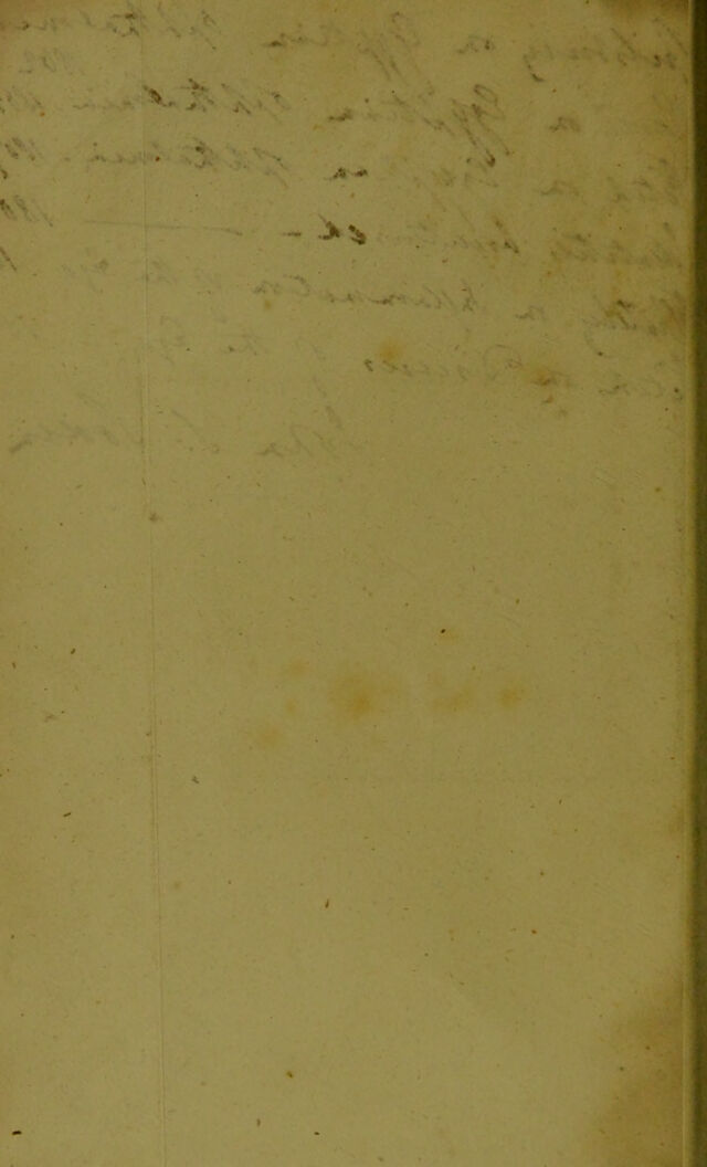 digitised image 2
