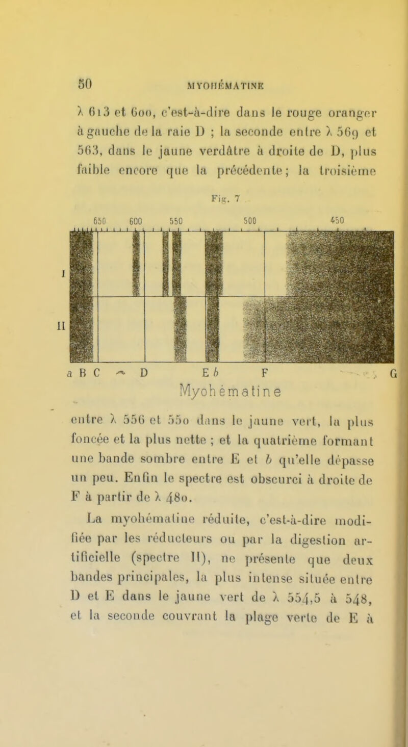 X 613 et Goo, c'est-a-dire dans le rouge orangor a gauche de la raie D ; la seconde enlre X 5G<) et 503, dans le jaune verdatre a droite de D, plus foible encore que la pivcedeule; la troisicme FiR. 7 650 6( 1 LLt 1111 11 1 [1 1 550 1 1 1 1 i 1 500 450 > 1 i 1 1 1 11 1 - * a B C ~ D Eb F G Myohematine entre a 550 et »5o dans le jaune vert, la plus foncee et la plus nette ; et la quatrieme formant une bande sombre entre E et I> qu'elle dopasse un peu. Enfin le spectre est obscurci a droite de F a parlir de X 4#o. La myohematine reduite, c'est-a-dire modi- nee par les reducleurs ou par la digestion ar- lificielle (spectre II), ne presenlc que deux bandes principales, la plus intense situtte enlre D el E dans le jaune vert de X 554,5 a 548, et la seconde couvrant la plage verte de E a