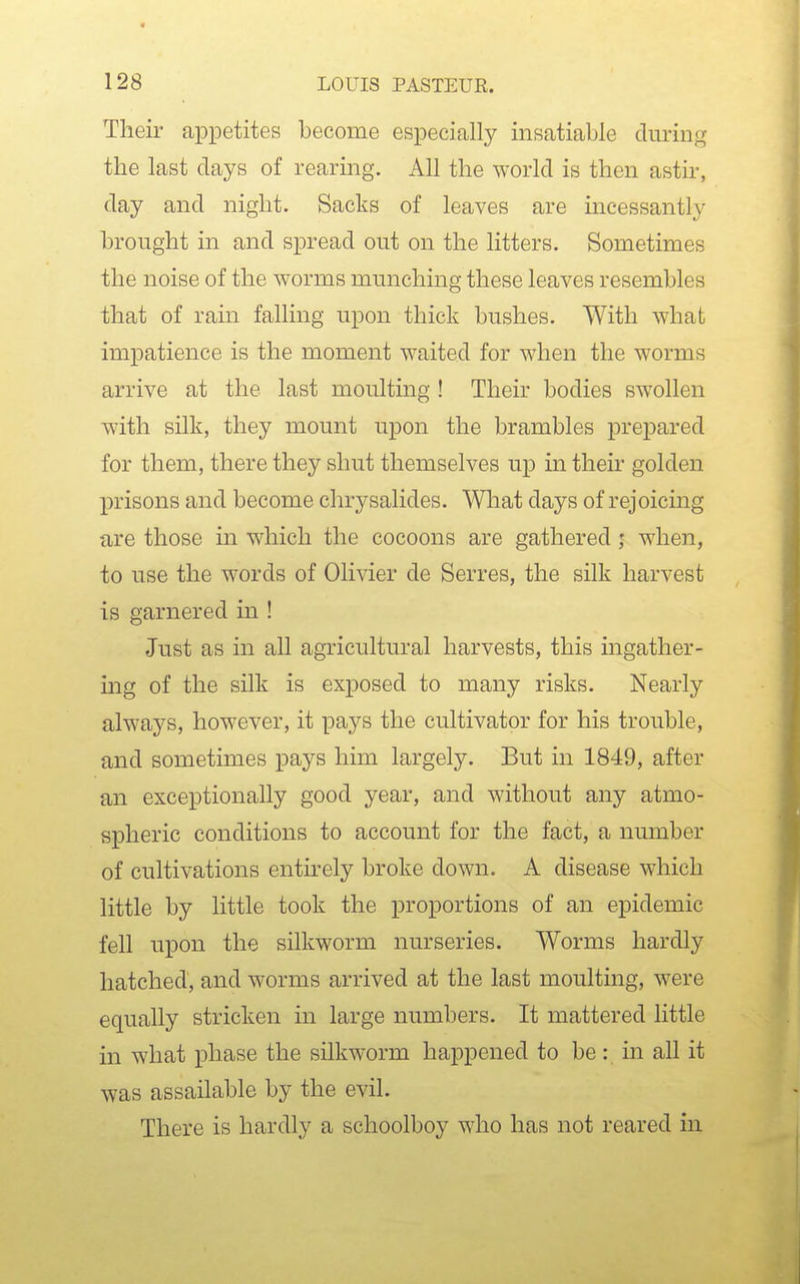 Their appetites become especially insatiable during the last days of rearing. All the world is then astir, day and night. Sacks of leaves are incessantly brought in and spread out on the litters. Sometimes the noise of the worms munching these leaves resembles that of rain falling upon thick bushes. With what impatience is the moment waited for when the worms arrive at the last moulting ! Their bodies swollen with silk, they mount upon the brambles prepared for them, there they shut themselves up in their golden prisons and become chrysalides. What days of rejoicing are those in wdiich the cocoons are gathered; when, to use the words of Olivier de Serres, the silk harvest is garnered in ! Just as in all agricultural harvests, this mgather- ing of the silk is exposed to many risks. Nearly always, however, it pays the cultivator for his trouble, and sometimes pays him largely. But in 1849, after an exceptionally good year, and without any atmo- spheric conditions to account for the fact, a number of cultivations entirely broke down. A disease which little by little took the proportions of an epidemic fell upon the silkworm nurseries. Worms hardly hatched, and worms arrived at the last moulting, were equally stricken in large numbers. It mattered little in what phase the silkworm happened to be : in all it was assailable by the evil. There is hardly a schoolboy who has not reared in