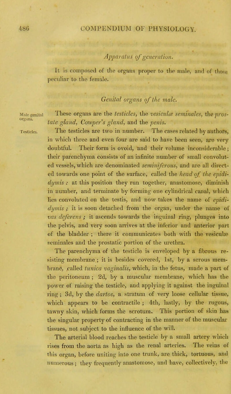 Male genital organs. Testicles. Apparatus of generation. It is composed of the organs proper to the male, and of those peculiar to the female. Genital organs of the male. These organs are the testicles, the vesiculce seminales, the pros- tate gland, Coivper’s gland, and the penis. The testicles are two in number. The cases related by authors, in which three and even four are said to have been seen, are very doubtful. Their form is ovoid, and their volume inconsiderable; their parenchyma consists of an infinite number of small convolut- ed vessels, which are denominated seminiferous, and are all direct- ed towards one point of the surface, called the head of the epidi- dymis : at this position they run together, anastomose, diminish in number, and terminate by forming one cylindrical canal, which lies convoluted on the testis, and now takes the name of epidi- dymis ; it is soon detached from the organ, under the name of vas deferens ; it ascends towards the inguinal ring, plunges into the pelvis, and very soon arrives at the inferior and anterior part of the bladder ; there it communicates both with the vesicuke seminales and the prostatic portion of the urethra. The parenchyma of the testicle is enveloped by a fibrous re- sisting membrane ; it is besides covered, 1st, by a serous mem- brane, .called tunica vaginalis, which, in the fetus, made a part of the peritoneum ; 2d, by a muscular membrane, which has the power of raising the testicle, and applying it against the inguinal ring ; 3d, by the dartos, a stratum of very loose cellular tissue, which appears to be contractile ; 4th, lastly, by the rugous, tawny skin, which forms the scrotum. This portion of skin has the singular property of contracting in the manner of the muscular tissues, not subject to the influence of the will. The arterial blood reaches the testicle by a small artery which rises from the aorta as high as the renal arteries. The veins of this organ, before uniting into one trunk, are thick, tortuous, and numerous; they frequently anastomose, and have, collectively, the