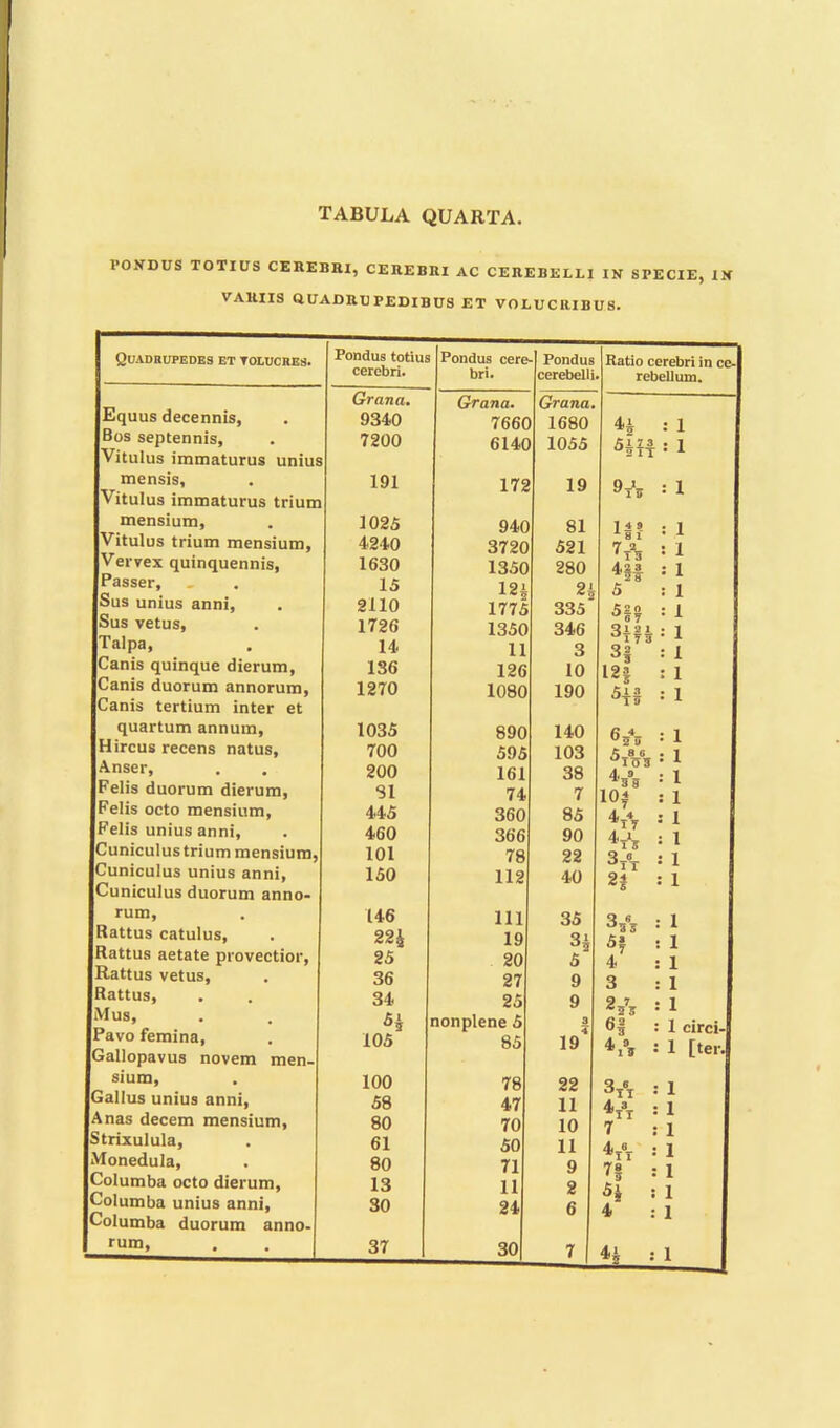 TABULA QUARTA. PONDUS TOTIUS CEREBRI, CEREBRI AC CEREBELLI IN STECIE, IN VARUS QUAERE PEDIBUS ET VOIUCRIBUS. QlIADRUPEDES ET TOLUCRES. Equus decennis, Bos septennis, Titulus immaturus uniu mensis, ritulus immaturus triut mensium, Vitulus trium mensium, Vervex quinquennis, Passer, Sus unius anni, Sus vetus, Taipa, Canis quinque dierum, Canis duorum annorum, Canis tertium inter et quartum annum, Hircus recens natus, Anser, Felis duorum dierum, Felis octo mensium, Felis unius anni, Cuniculus trium mensium Cuniculus unius anni, Cuniculus duorum anno- rum, Rattus catulus, Rattus aetate provectior, Rattus vetus, Rattus, Mus, Pavo femina, Gallopavus novem men- sium, Gallus unius anni, Anas decern mensium, Strixulula, Monedula, Columba octo dierum, Columba unius anni, Columba duorum anno- rum, Pondus totius cerebri. Pondus cere- bri. Grana. Grana. 9340 7660 7200 s 6140 191 n 172 1025 940 4240 3720 1630 1350 15 124 1775 2110 1726 1350 14 11 136 126 1270 1080 1035 890 700 595 200 161 SI 74 445 360 460 366 101 78 150 112 146 111 224 19 25 20 36 27 34 25 nonplene 5 105 85 100 78 58 47 80 70 61 50 80 71 13 11 30 24 37 30 19 81 521 280 21 335 346 3 10 190 140 103 38 r 85 90 22 40 35 31 5' 9 9 i 19' 22 11 10 11 9 2 6 s Ratio cerebri in ce- li. rebellum. 1. H : 1 : 1 9* : 1 : 1 Vs : 1 4it : 1 i 5 : 1 ^07 : 1 Ql 2 1 a : 1 : 1 12| : 1 5i§ : 1 6o4u : 1 As 6 °io3 : 1 Vs : 1 10? : 1 4tV 1 4 1 *15 1 Vr 1 1 Vs 1 5? 1 4 1 3 1 2 1 *2J 1 1 circi- V* 1 [ter. Q 6 ^TT 1 4 3 *11 1 7 1 4 3 *TT 1 7| 1 54 1 4 1 44 : 1