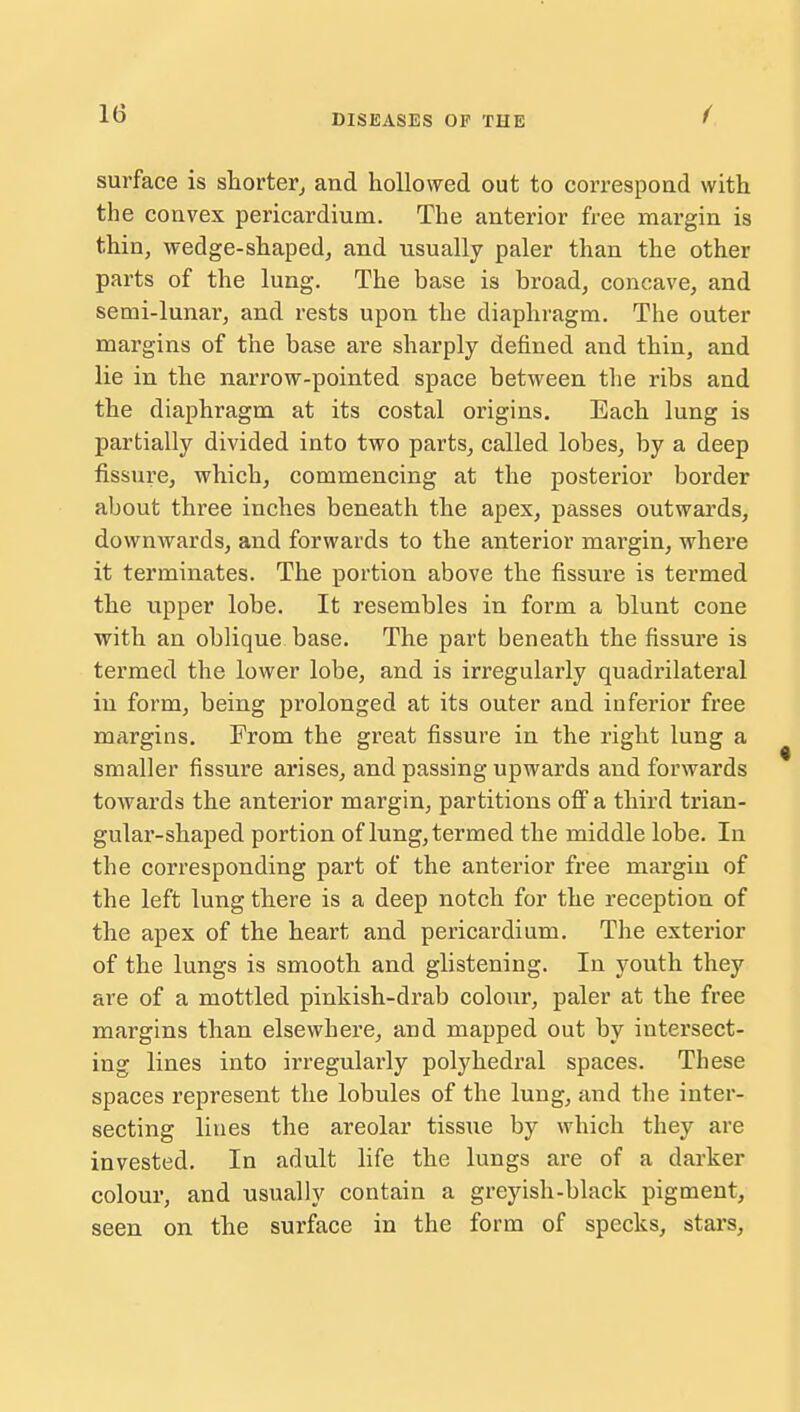 surface is shorter, and hollowed out to correspond with the convex pericardium. The anterior free margin is thin, wedge-shaped, and usually paler than the other parts of the lung. The base is broad, concave, and semi-lunar, and rests upon the diaphragm. The outer margins of the base are sharply defined and thin, and lie in the narrow-pointed space between the ribs and the diaphragm at its costal origins. Each lung is partially divided into two parts, called lobes, by a deep fissure, which, commencing at the posterior border about three inches beneath the apex, passes outwards, downwards, and forwards to the anterior margin, where it terminates. The portion above the fissure is termed the upper lobe. It resembles in form a blunt cone with an oblique base. The part beneath the fissure is termed the lower lobe, and is irregularly quadrilateral in form, being prolonged at its outer and inferior free margins. From the great fissure in the right lung a smaller fissure arises, and passing upwards and forwards towards the anterior margin, partitions off a third trian- gular-shaped portion of lung, termed the middle lobe. In the corresponding part of the anterior free margin of the left lung there is a deep notch for the reception of the apex of the heart and pericardium. The exterior of the lungs is smooth and glistening. In youth they are of a mottled pinkish-drab colour, paler at the free margins than elsewhere, and mapped out by intersect- ing lines into irregularly polyhedral spaces. These spaces represent the lobules of the lung, and the inter- secting lines the areolar tissue by which they are invested. In adult life the lungs are of a darker colour, and usually contain a greyish-black pigment, seen on the surface in the form of specks, stars,