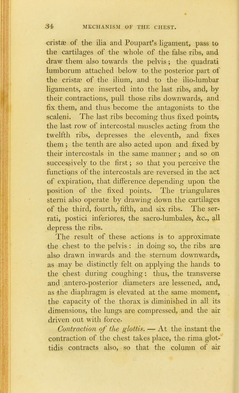 cristas of the ilia and Poupart's ligament, pass to the cartilages of the whole of the false ribs, and draw them also towards the pelvis ; the quadrati lumborum attached below to the posterior part of the cristas of the ilium, and to the ilio-lumbar ligaments, are inserted into the last ribs, and, by their contractions, pull those ribs downwards, and fix them, and thus become the antagonists to the scaleni. The last ribs becoming thus fixed points, the last row of intercostal muscles acting from the twelfth ribs, depresses the eleventh, and fixes them ; the tenth are also acted upon and fixed by their intercostals in the same manner ; and so on successively to the first; so that you perceive the functions of the intercostals are reversed in the act of expiration, that difference depending upon the position of the fixed points. The triangulares sterni also operate by drawing down the cartilages of the third, fourth, fifth, and six ribs. The ser- rati, postici inferiores, the sacro-lumbales, &c, all depress the ribs. The result of these actions is to approximate the chest to the pelvis : in doing so, the ribs are also drawn inwards and the sternum downwards, as may be distinctly felt on applying the hands to the chest during coughing: thus, the transverse and antero-posterior diameters are lessened, and, as the diaphragm is elevated at the same moment, the capacity of the thorax is diminished in all its dimensions, the lungs are compressed, and the air driven out with force. Contraction of the glottis. — At the instant the contraction of the chest takes place, the rima glot- tidis contracts also, so that the column of air