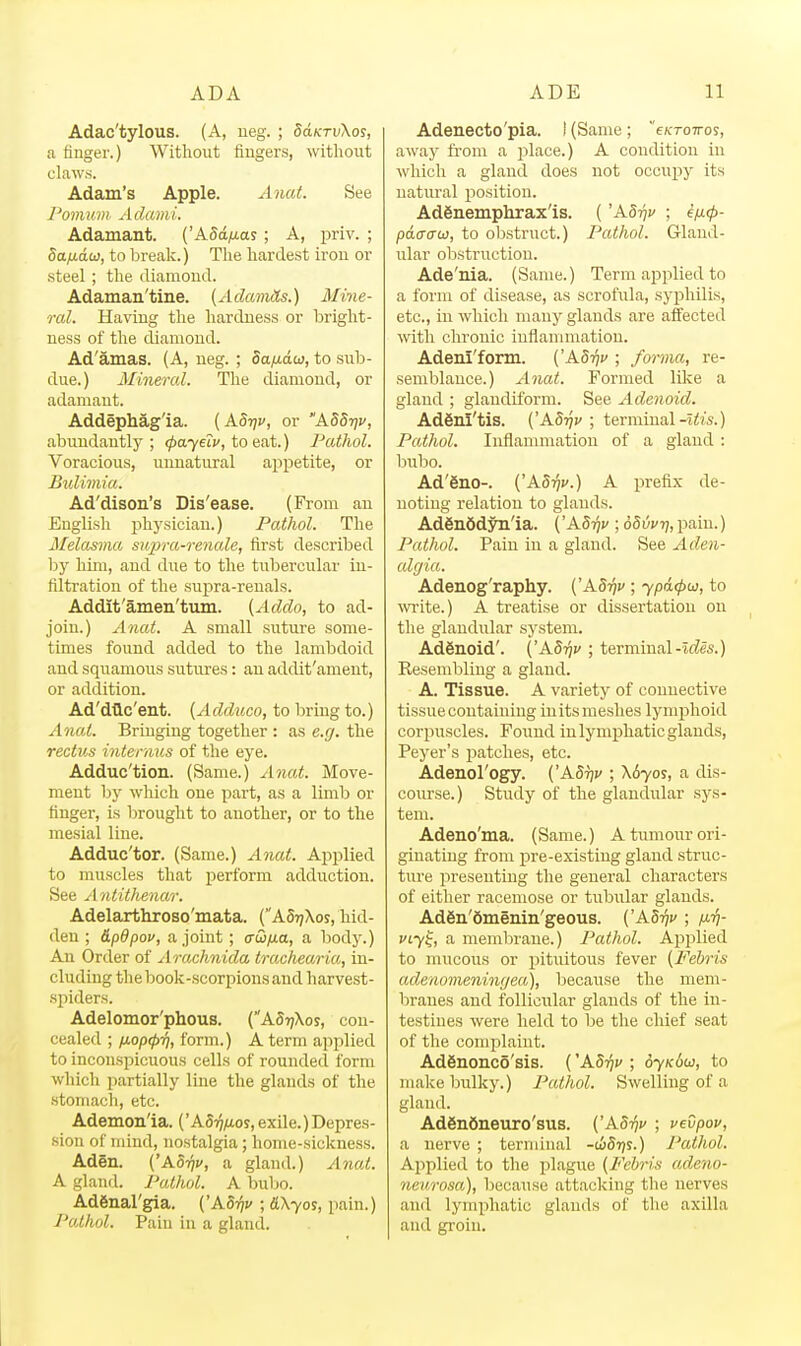 Adac'tylous. (A, ueg. ; 8dKTv\os, a finger.) Without Augers, without claws. Adam's Apple. Anaf. See Pomum Aclami. Adamant. ('ASa/xas; A, j^riv. ; Sa/j.dti}, to break.) The hardest irou or steel; the diamoud. Adaman'tine. (Adamds.) Mine- ral. Having the hardness or bright- ness of the diamond. Ad'amas. (A, ueg. ; da/xdu}, to sub- due.) Mineral. The diamond, or adamant. Addephag'ia. [Mtjv, or ASStjv, abundantly ; (payelv, to eat.) Pathol. Voracious, unnatural appetite, or Bulimia. Ad'dison's Dis'ease. (From an English physician.) Pathol. The Melasma supra-renale, first described by him, and due to the tubercular in- filtration of the supra-reuals. Addit'amen'tum. {Addo, to ad- join.) Anat. A small suture some- times found added to the lambdoid and squamous sutures: an addit'ament, or addition. Ad'dQc'ent. {Adduco, to bring to.) Anat. Bringing together : as e.g. the rectus intenius of the eye. Adduc'tion. (Same.) Anat. Move- ment by which one part, as a limb or finger, is brought to another, or to the mesial line. Adduc'tor. (Same.) Anat. Applied to muscles that perform adduction. See A ntithenar. Adelarthroso'mata. (ASt/Xoj, hid- den ; dpdpov, a joint; crw/j.a, a body.) An Order of Arachnida trachearia, in- cluding the book-.scorpions and harvest- sjiiders. Adelomor'phous. (ASt^Xos, con- cealed ; /xop^rj, form.) A term applied to inconspicuous cells of rounded form which partially line the glands of the stomach, etc. Ademon'ia. ('Aoij/uos,exile.)Depres- sion of mind, nostalgia; home-sickness. Ad§n. {'Adriv, a gland.) Anat. A gland. Pathol. A IjuIjo. Adgnal'gia. ('Aotji/ ; &X70S, pain.) Pathol. Pain in a gland. Adenecto'pia. I (Same; eKTovo?, away from a j^lace.) A condition in which a gland does not occupy its natural position. AdSnempkrax'is. ( 'Adrjv ; e^^- pdcraw, to obstruct.) Pathol. Gland- ular obstruction. Ade'nia. (Same.) Term applied to a form of disease, as scrofula, syphilis, etc., in which many glands are afl'ected with chronic inflanimatiou. Adeni'form. ('Adriv ; forma, re- semblance.) Anat. Formed lilce a gland ; glandiform. See Adenoid. Adfinl'tis. ('A8-qv ; terminal-i<w.) Pathol. Inflammation of a gland : bubo. Ad'Sno-. ('A8riv.) A prefix de- noting relation to glands. Ad6n6dyn'ia. ('Ad-qv ; 65vi>7],pain.) Pathol. Pain in a gland. See Aden- algia. Adenog'raphy. {'Adrjv ; ypdcpu, to write.) A treatise or dissertation on the glandular system. Ad6noid'. ('ASi^v ; terminal-ic^es.) Resembling a gland. A. Tissue. A variety of connective tissue containing initsmeshes lymphoid corpuscles. Found in lymphatic glands, Peyer's i^atches, etc. Adenol'ogy. ('AStjv ; \6yos, a dis- course.) Study of the glandular sys- tem. Adeno'ma. (Same.) A tumour ori- ginating from pre-existing gland struc- ture presenting the general characters of either racemose or tubidar glands. Ad6n'6memn'geous. ('ASijc ; /j-v- viy^, a membrane.) Pathol. Applied to mucous or pituitous fever (Febris adenomeningea), because the mem- branes and follicular glands of the in- testines were held to be the chief seat of the complaint. Ad6nonc5'sis. ('Ad-qv ; 6yK6w, to make bulky.) Pathol. Swelling of a gland. Adgnfineuro'sus. ('A8riv ; vevpov, a nerve ; terminal -tiSijs.) Pathol. Applied to the plague {Febris adeno- 7ievrosa), because attacking the nerves and lymphatic glands of the axilla and groin.