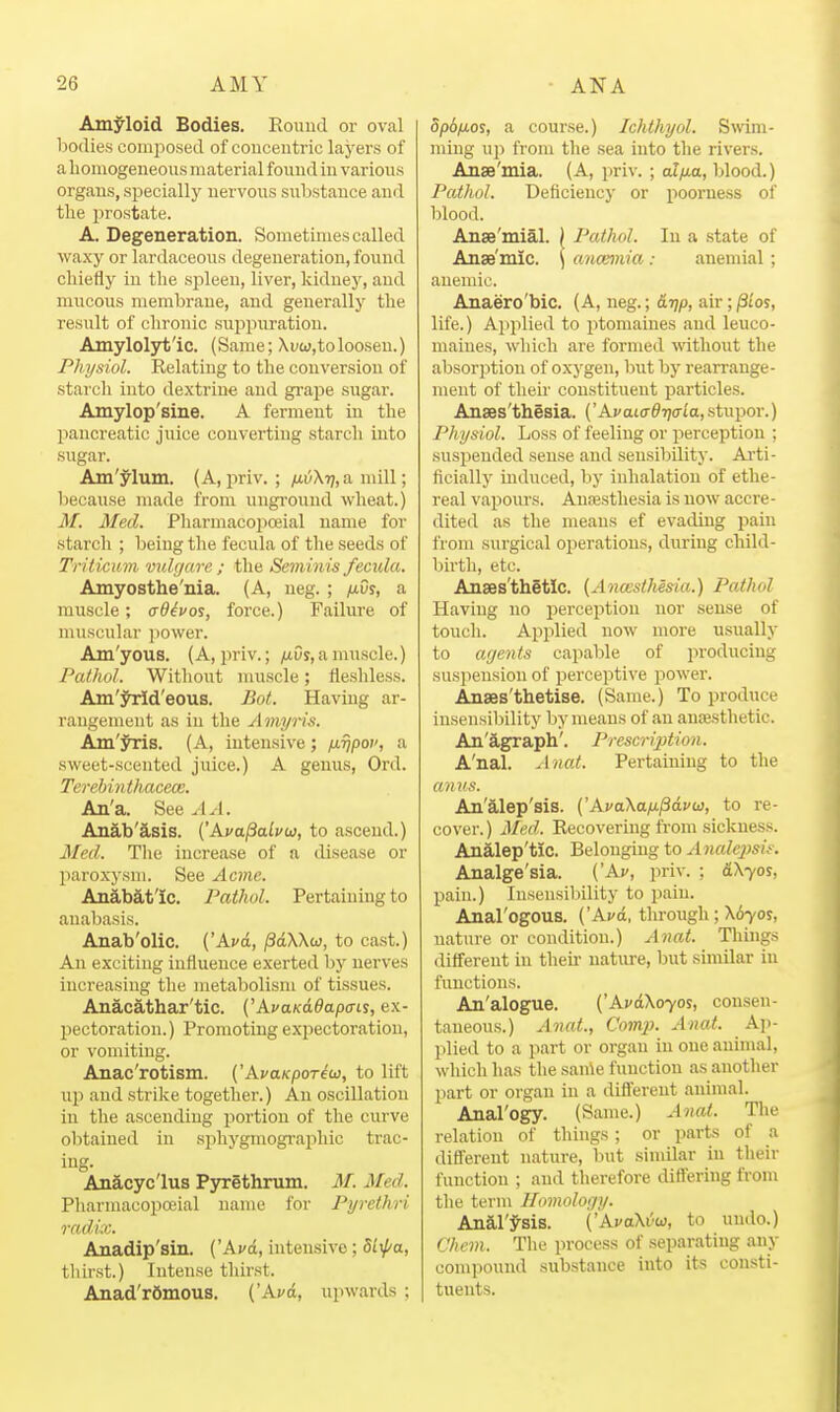 Amyloid Bodies. Round or oval bodies composed of concentric layers of a homogeneous material found in various organs, specially nervous substance and tlie prostate. A. Degeneration. Sometimes called waxy or lardaceous degeneration, found cliiefly in the spleen, liver, kidney, and mucous membrane, and generally the result of chronic suppuration. Amylolyt'ic. (Same; Xi/w,toloosen.) Physiol. Relating to the conversion of stai ch into dextrine and grape sugar. Amylop'sine. A ferment in the pancreatic juice couverting starch into sugar. Am'j^lum. (A, priv. ; ;ai;XT7,a mill; because made from ungi'ouud wheat.) M. Med. Pharmacopceial name for starch ; being the fecula of the seeds of Triticum vulgare ; the Seminis fecula. Amyosthe'nia. (A, ueg. ; yuOy, a muscle; adivos, force.) Failure of muscular ]iower. Am'yous. (A, priv.; /tOy, a muscle.) Pathol. Without muscle; fieshless. Am'jh:ld'eous. BoL Having ar- rangement as iu the Amyris. Am'^s. (A, intensive; fj-ripov, a sweet-scented juice.) A genus, Ord. TerebintlMcea;. An'a. See ^1^-1. Anab'asis. ('Ava^alvu, to ascend.) Med. The increase of a disease or paroxysm. See Acme. Anabatic. Pathol. Pertaining to anabasis. Anab'olic. ('Avd, /3aXXaj, to cast.) An exciting influence exerted by nerves increasing the metabolism of tissues. AnacS,thar'tic. ('AvaKaOapais, ex- jjectoration.) Promoting expectoration, or vomiting. Anac'rotism. {'AvaKporiw, to lift up and strike together.) An oscillation in the ascending portion of the curve obtained in sphygmographic trac- ing. Anacyc'lu3 Pjn:ethrum. M. Med. Pharmacoijoeial name for Pyrethri radix. Anadip'sin. ('Avd, intensive; 5l\pa, thirst.) Intense thirst. Anad'rftmous. {'Avd, upwards ; dpd/xos, a course.) Ichthyol. Swim- ming up from the sea into the rivers. Anae'mia. (A, priv. ; alixa, blood.) Pathol. Deficiency or poorness of blood. Anse'mial. ) Pathol. In a state of Anse'mic. \ anaemia: anemial; anemic. Anaero'bic. (A, neg.; 6.Tip, air; ^los, life.) Applied to ptomaines and leuco- maines, which are formed without the absorption of oxygen, but by rearrange- ment of their constituent particles. Anses'thesia. ('Af aicd-rja'La, stupor.) Physiol. Loss of feeling or perception ; suspended sense and sensibility. Ai-ti- ficially mduced, by inhalation of ethe- real vapoiu'S. Ausesthesia is now accre- dited as the means ef evading pain from surgical operations, during child- birth, etc. Anses'thStlc. {Anesthesia.) Pathol Having no perception nor sense of touch. Applied now more usually to arjents capable of producing suspension of perceptive power. Anaes'thetise. (Same.) To produce insensil)ility l:)y means of an auoesthetic. An'agraph'. Prescrijition. A'nal. Anat. Pertaining to the anvs. An'alep'sis. ('AfaXayu/3dvw, to re- cover.) Med. Recovering from sickness. Analep'tic. Belonging to Anale2)sit. Analge'sia. ('Av, priv. ; &\yo^, pain.) Insensibility to pain. Anal'ogous. {'Avd, through; X670J, nature or condition.) Anat. Things different in theii- nature, but similar in functions. An'alogue. {^AvdXoyos, consen- taneous.) Anat., Com}}. Anat. Ap- plied to a part or orgau in one animal, which has the sanie function as another part or organ in a diflereut animal. Anal'ogy. (Same.) Anat. The relation of things; or parts of a different nature, but similar in their function ; and therefore differing from the term Homology. Anal'J-sis. ('AvaXvw, to undo.) Chem. The process of separating any compound substance into its consti- tuents.
