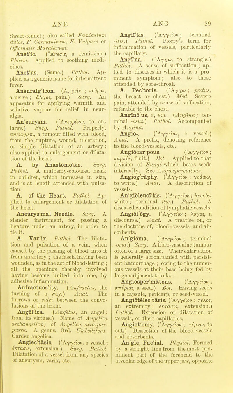 Sweet-fennel; also called Fceniculmn dulce, F. Germanicum, F. Vulgare or Officinalis Maraihrum. Anet'ic. {Aveais, a remission.) Pharm. Applied to soothing medi- cines. Anet'us. (Same.) Pathol. Ajj- plied as a generic name for intermittent fever. Aneuralg'icon. (A, priv. ; vevpov, a nerve; &\yos, pain.) Surfj. An apparatus for applying warmth and sedative vapour for relief in neur- algia. An'eurysm. ('Avevpijvu, to en- large.) Suiy. Pathol. Properly, aneurysm, a tumour filled with blood, from the rupture, wound, idceration, or simple dilatation of an artery; also applied to enlargement or dilata- tion of the heart. A. by Anastomo'sis. Surg. Pathol. A mulberry-coloured mark in children, which increases in size, and is at length attended with pidsa- tion. A. of the Heart. Pathol. Ap- plied to enlargement or dilatation of the heart. Aneurys'mal Needle. Surg. A slender instrument, for passing a ligature under an artery, in order to tie it. A. Var'ix. Pathol. The dilata- tion and pulsation of a veui, when caused by the passLug of blood into it from an artery ; the fascia having been wounded, as in the act of blood-letting ; all the openings thereby involved having become united Luto one, by adhesive inflammation. Anfractuos'ity. [Anfractus, the turning of a way.) Anat. The furrows or sulci between the convo- lutions of tlie brain. AngSl'ica. {Angelm, an angel: from its virtues.) Name of Angelica archangelica; of Angelica atro-pur- 2>urea. A genus, Ord. Umhelliferoi. Garden angelica. Aiigiec't§,Bis. {'A-Yyetov, a vessel; eKTaais, extension.) Surg. Pathol. Dilatation of a vessel from any species of aneurysm, varix, etc. Angil'tis. {'AyyeTov; terminal -Itis.) Pathol. Piorry's term for inflammation of vessels, particularly the capillary. Angl'na. (A7XW, to strangle.) Pathol. A sense of suffocation ; ap- lied to diseases in which it is a pro- minent symptom; also to those attended by sore-tliroat. A. Pec'toris. (A7XW; jjecfiKs, the breast or chest.) Med. Severe pain, attended by sense of suffocation, referable to the chest. Anglno'us, a, uvi. {Angina; ter- minal -osus.) Pathol. Accompanied by Angina. Angio-. ('A77e£o;', a vessel.) Anat. A prefix, denoting reference to the lilood-vessels, etc. AngiScar'pous. ('A77£io;'; rapTTos, fruit.) Bot. Api^lied to that division of Fungi which bears seeds internally. See Angiosiierinatous. Angiog'raphy. ('A77eioi'; ypdcpu, to -wTite.) Anat. A descrijition of vessels. An'gioleucl'tis. ('A77e?oj'; XevKds, white; terminal -itis.) Pathol. A diseased condition of lymphatic vessels. AngiSl'Sgy. ('A77erof ; \6yos, a discoiu-se.) Anat. A treatise on, or the doctrine of, blood - vessels and ab- sorbents. An'gioma. ('A77e£0J' ; terminal -oma.) Surg. A fibro-vascular tumour often of a large size. Their extirpation is generally accompanied with j)ersist- eut haemorrhage ; owing to the numer- ous vessels at their base being fed by large siibjacent tninks. Angiosper'matous. ('A77eto»' ; cnrip/xa, a seed.) Bot. Having seeds in a cajjsule, pericarji, or seed-vessel. AngiStSlec'tasis. ('Ayyelov ; t^Kos, an extremity ; ^/crao-is, extension.) Pathol. Extension or dilatation of vessels, or their cajiillaries. Angiot'omy. ('A77etoj' ; rifivb), to cut.) Dissection of tlie blood-vessels and absorbents. An'gle, Fac'ial. Physiol. Formed by a straight line from the most pro- minent part of the forehead to the alveolar edge of the upper jaw, opposite
