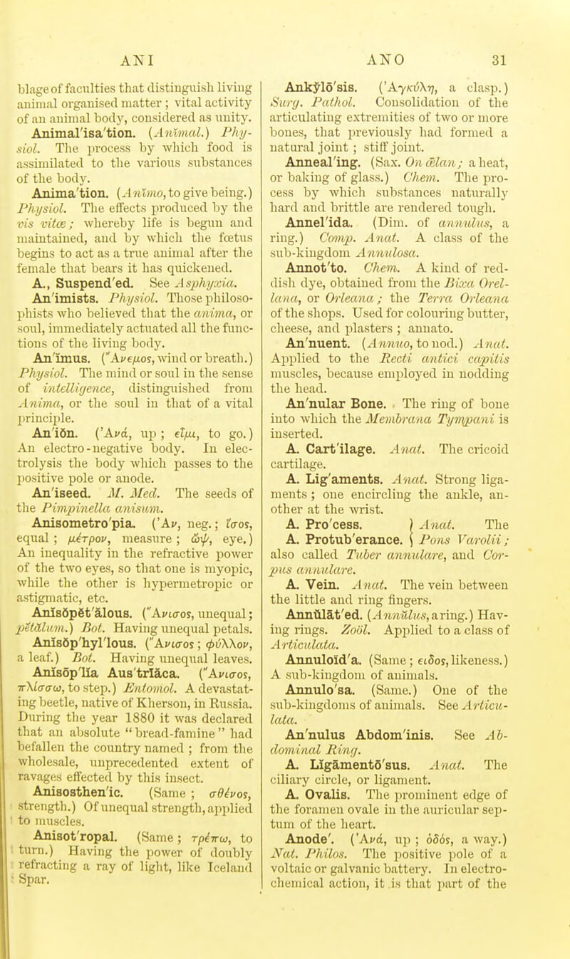 blage of faculties that distinguish living auinial orgauised matter ; vital activity of au auimal body, considered as xmity. Animarisa'tion. (A^iXmal.) Phy- siol. The process by which food is assimilated to the various substances of the body. Anima'tion. [A nlmo, to give being.) Physiol. The effects produced by the vis vitce; whereby life is begun and maintained, and by which the fcetus begins to act as a triie animal after the female that bears it has quickened. A., Suspend'ed. See Asphyxia. An'imists. Physiol. Those philoso- phists who believed that the anima, or soul, immediately actuated all the func- tions of the living body. Aii'imus. (AvefjLos, vfind or breath.) Physiol. The mind or soul in tlie sense of intelligence, distinguished from Anima, or the soul in that of a vital jirinciple. An'idn. ('Avd, up; elfx.i, to go.) An electro - negative body. In elec- trolysis the body which passes to the jiositive pole or anode. An'iseed. M. Med. The seeds of the Pimjiiiiella anismn. Anisometro'pia. ('Ai', neg.; laos, equal; fMirpov, measure; eye.) An inequality in the refractive power of the two eyes, so that one is myopic, while the other is hypermetroj^ic or astigmatic, etc. Anisdpgt'alous. (Avicros, unequal; iM'Uum.) Bot. Having unequal petals. Amsdp'hyl'lous. ('Avicros; <pij\\ov, a leaf.) Boi. Having unequal leaves. Anisop'lia Aus'triaca. (Avlvos, TrXiVcroj, to step.) Jintomol. A devastat- ing beetle, native of Kherson, in Russia. Diiring tlie year 1880 it was declared that an absolute bread-famine had befallen the country named ; from the wholesale, unprecedented extent of ravages effected by this insect. Anisosthen'ic. (Same ; crdivos, strength.) Of unequal strengtli, applied to muscles. Anisot'ropal. (Same; rp^wu, to turn.) Having the power of doubly refracting a ray of light, like Iceland Spar. Ank^lo'sis. {'AyK6\rj, a clasp.) Surg. Pathol. Consolidation of the articulating extremities of two or more bones, tliat previously had formed a natuj-al joint; stiff joint. Anneal'mg. (Sax. O/i ccfaw; a heat, or baking of glass.) Chem. The pro- cess by which substances naturally hard and brittle are rendered tough. Annelida. (Dim. of annulus, a ring.) Camp. Anat. A class of the sub-kingdom Anmdosa. Annot'to. Chem. A kind of red- disli dye, obtained from the Bixa Orel- lana, or Orleana; the Terra Orleana of the shops. Used for colouring butter, cheese, and j)lasters ; annato. An'nuent. (xIwmmo, to nod.) Anat. Ajjplied to the Becii antici capitis muscles, because employed in nodding the head. An'nular Bone. ■ The ring of bone into which the Membrana Tympani is inserted. A. Cart'ilage. Anat. The cricoid cartilage. A. Lig'aments. Anat. Strong liga- ments ; one encircling the ankle, an- other at the wrist. A. Pro'cess. ) Anat. The A. Protub'erance. \ Pons Varolii; also called Tuber annulare, and Cw- pus annulare. A. Vein. A nat. The vein between the little and ring fingers. Anntilat'ed. {Annulus,z.ruig.) Hav- ing rings. Zoiil. Applied to a class of Articulata. Annuloid'a. (Same; ei5os,likeness.) A sub-kingdom of animals. Annulo'sa. (Same.) One of the sub-kingdoms of animals. See Articu- lata. An'nulus Abdominis. See Ah- dom iiial Pang. A. Ligamento'sus. Anat. The ciliary circle, or ligament. A. Ovalis. The prominent edge of the foramen ovale in the auricular sep- tum of tlie heart. Anode'. ('Ava, up ; 656?, a way.) Nat. Philos. The positive pole of a voltaic or galvanic battery. In electro- chemical action, it is that part of the