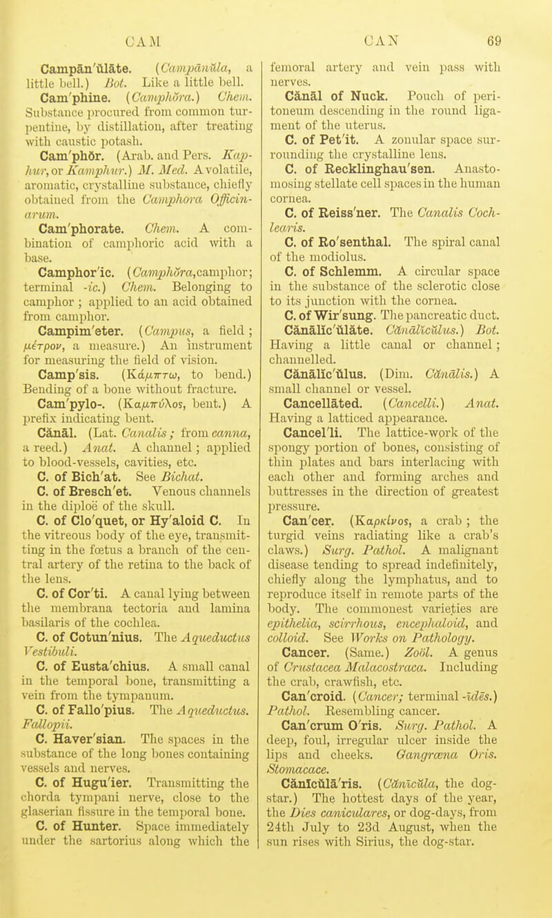 Campan'illate. (Campanxda, a little bell.) Hot. Like a little bell. Cam'phiue. {CaiuphOra.) Cheni. Sub.stance procured from common tur- peutiue, by distillation, after treating with cati.stic potasli. Cam'ph6r. (Arab, aud Pers. Kcqo- Iiui;oY Kamphur.) M.Med. A volatile, aromatic, crystalline substance, chiefly obtained from the Cwmphora Officin- arum. Cam'phorate. Chem. A com- bination of camphoric acid with a base. Camphoric. (Camphora, camphor; terminal -ic.) Chem. Belonging to camphor ; aj)plied to an acid obtained from camphor. Campim'eter. (Campus, a field ; fxirpov, a measure.) An instrument for measuring the field of vision. Camp'sis. (Kd/XTrrw, to bend.) Bending of a bone without fracture. Cam'pylo-. {KafiiriXos, bent.) A jirefix indicating bent. Canal. (Lat. Canalis ; from canna, a reed.) Ancd. A channel; ainjlied to blood-vessels, cavities, etc. C. of Bich'at. See Bichat. C. of Bresch'et. Venous channels in the diploii of the skull. C. of Clo'quet, or Hy'aloid C. In the vitreous body of the eye, transmit- ting in the fcetus a branch of the cen- tral artery of the retina to the back of the lens. C. of Cor'ti. A canal lying between the membraua tectoria and lamina basilaris of the cochlea. C. of Cotun'nius. The AqiiediictiLs Vestibuli. C. of Eusta'chius. A small canal in the temporal bone, transmitting a vein from the tympanum. C. of Fallo'pius. The A queductiis. Fcdlopii. C. Haver'sian. The spaces in the substance of the long bones containing \'essels and nerves. C. of Hugu'ier. Transmitting the chorda tympani nerve, close to the glaserian fissure in the temjioral bone. C. of Hunter. Space immediately under the sartorius along which the femoral artery and vein pass with nerves. Canal of Nuck. Pouch of peri- toneum descending in the round liga- ment of the uterus. C. of Pet'it. A zonular sjiace sur- rounding the crystalline lens. C. of Recklinghau'sen. Anasto- mosing stellate cell spaces in the human cornea. C. of Eeiss'ner. The Canalis Coch- learis. C. of Ro'senthal. The spiral canal of the modiolus. C. of Schlemm. A circular space in the substance of the sclerotic close to its junction with the cornea. C. of Wir'sung. The pancreatic duct. Canalic'iilate. GanaMculus.) Bot. Having a little canal or channel; channelled. Canalic'iilus. (Dim. CiCnalis.) A small channel or vessel. Cancellated. (Cancelli.) Anat. Having a latticed appearance. Cancel'li. The lattice-work of the spongy portion of bones, consisting of thin jjlates and bars interlacing with each other and forming arches and buttresses in the direction of greatest pressure. Can'cer. (Kapdvo^, a crab ; the turgid veins radiating like a crab's claws.) Surg. Pathol. A malignant disease tending to spread indefinitely, chiefly along the lymphatus, and to reproduce itself in remote parts of the body. The commonest varieties are epithelia, scirrhous, encephaloid, and colloid. See Works on Pathology. Cancer. (Same.) Zool. A genus of Crustacea Malacostraca. Including the crab, crawfish, etc. Can'croid. {Cancer; terminal-ic?es.) Pathol. Resembling cancer. Can'crum O'ris. Surg. Pathol. A deep, foul, irregular ulcer inside the lips and cheeks. Gangrmna Oris. Stomacace. Canlctila'ris. (CUnlcula, the dog- star.) The hottest days of the year, the Dies canicidares, or dog-days, from 24th July to 23d August, when the sun rises with Sirius, the dog-star.