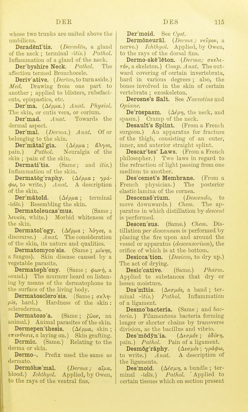 whose two trunks are united above the umbilicus. DeradSnl'tis. {DeradSn, a gland of the neck ; terminal -Itis.) Pathol. Inflammation of a gland of the neck. Der'byshire Neck. Pathol. The att'ectiou termed Brouchocele. Deriv'ative. {Derlvo, to turn aside.) Med. Drawing from one part to another ; applied to blisters, rubefaci- ents, epispastics, etc. Der'ma. (A^p/xa.) Anat. Physiol. The skin, or cutis vera, or corium. Der'mad. Anat. Towards the dermal aspect. Der'mal. {Derma.) Anat. Of or belonging to the skiu. Der'matal'gia. {Aep/xa; &\yos, pain.) Pathol. Neuralgia of the skin ; pain of the skiu. Dennati'tis. (Same; and itis.) Inflammation of the skiu. Dermatog'raphy. {Mpixa; ypd- (pu, to wite.) Anat. A descrij)tion of the skin. Der'matold. (Aipfia; terminal -Ides.) Resembling the skin. Dermatoleucas'mus. (Same; XevKos, white.) Morbid whiteness of the skin. Dermatol'ogy. {Aipfxa ; X670S, a discourse.) Anat. The consideration of the skin, its nature and qualities. Dermatomyco'sis. (Same; fxiiK-qs, a fungus). Skin disease caused by a vegetable parasite. Dermatoph'ony. (Same ; (pwvf), a sound.) The murmur heard on listen- ing by means of the dermatophone to the surface of the living body. Dermatosclero'sis. (Same; ctkXtj- pjf, hard.) Hardness of the skin: scleroderma. Dermatozo'a. (Same; fwof, an animal.) Animal parasites of the skin. Dermepen'thesis, {Aipfxa, skiu ; e-rrevdeaLs, a laying on.) Skin grafting. Dermic. (Same.) Relating to the derma or skin. Dermo-. Prefix used the same as dermato. Dermohae'mal. {Derma; atfj.a, blood.) Jchthyol. Applied, by Owen, to the rays of the ventral fins. Der'moid. See Cyst. DermSneural. {Derma; vevpov, a nerve.) Ichthyol. Applied, by Owen, to the rays of the dorsal tins. Dermo-ske'ieton. {Derma; <TKe\e- rd;', a skeleton.) Gomp. Anat. The out- ward covering of certain invertebrata, hard in various degi-ees ; also, the bones involved in the skin of certain vertebrata ; exoskeleton. Derosne's Salt. See Narcotins and Opiane. De'rbspasm. {Aip-q, the neck, and spasm.) Cramp of the neck. Desault's Splint. (From a French surgeon.) An apparatus for fracture of the thigh, consisting of an outer, inner, and anterior straight siJlint. Descar'tes' Laws. (From a French jjliilosopher.) Two laws in regard to the refraction of light passing from one medium to another. Des'cemet's Membrane. (From a French physician.) The posterior elastic lamina of the cornea. Descenso'rium. {Descendo, to move downwards.) Chem. The ap- paratus in which distillation by descent is performed. Descen'sus. (Same.) Chem. Dis- tillation per descensum is performed by placing the fire upon and around the vessel or ajjparatus {descensorium), the orifice of which is at the bottom. Desicca'tion. {Desicco, to di-y up.) The act of drying. Desic'cative. (Same.) Pharvi. Applied to substances that dry or lessen moisture. Des'mltis. (Aec/^ds, a band ; ter- minal -Itis.) Pathol. Inflammation of a ligament. Desmo'bacteria. (Same ; and bac- teria.) Filamentous bacteria forming longer or shorter chains by transverse division, as the bacillus and vibrio. Des'modyn'ia. (Aetr/ids; odtivrj, pain.) Pathol. Pain of a ligament. Desmog'raphy. (Aeo-yuds; ypdrpoi, to write.) A^iat. A description of the ligaments. Des'moid. {A^a/n-q, a bundle ; ter- minal -ides.) Pathol. ' Applied to certain tissues which on section present