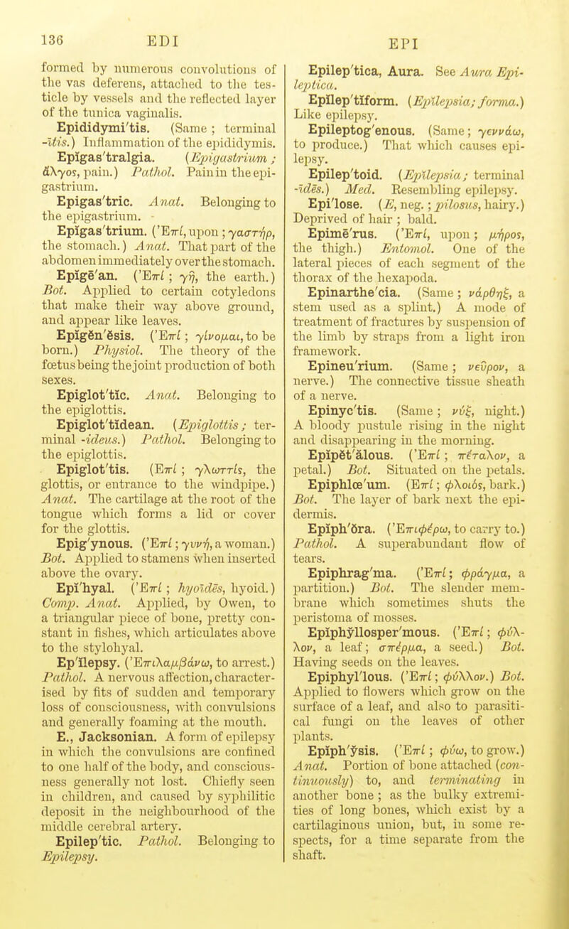 formed by numerous couvolutions of the vas deferens, attaclied to the tes- ticle by vessels and the reflected layer of the tunica vaginalis. Epididymi'tis. (Same ; terminal -itis.) Inllammation of the ei)ididymis. Epigas'tralgia. (Epigastrium; 5X705, ] lain.) Pathol. Pain in the epi- gastrium. Epigas'tric. A nat. Belonging to the epigastrium. Epigas'trium. (E,irL,UYion lyaa-r-^p, the stomach.) Anat. That part of the abdomen immediately overthe stomach. Epige'an. {'EttI ; yij, the earth.) Bot. Applied to certain cotyledons that make their way above ground, and appear like leaves. Epig6n'6sis. CEttL ; yLvofiai,tohe born.) Physiol. The theory of the foetus being the joint production of both sexes. Epiglot'tic. Anat. Belonging to the epiglottis. Epiglot'tidean. [Epiglottis; ter- minal -ideus.) Pathol. Belonging to the epiglottis. Epiglot'tis. (Ett/ ; yXurrls, the glottis, or entrance to the windpipe.) Anat. The cartilage at the root of the tongue which forms a lid or cover for the glottis. Epig'ynous. ('E7ri; yvvfi, a woman.) Bot. Ajiplied to stamens when inserted above the ovary. Epi'hyal. ('Eiri; hyoldes, hyoid.) Comp. Anat. Applied, by Owen, to a triangular piece of bone, pretty con- stant in fishes, whicli articulates above to the styloliyal. Ep'ilepsy. {''EwLkaix^avw, to arrest.) Pathol. A nervous afl'ection, character- ised by fits of sudden and temporary loss of consciousness, with convulsions and generally foanung at the mouth. E., Jacksonian. A form of epilepsy in which the convulsions are confined to one half of the body, and conscioxis- ness generally not lost. Chiefiy seen in children, and caused by syphilitic deposit in the neighbourhood of the middle ceiebral artery. Epilep'tic. Pathol. Belonging to Epilepsy. Epilep'tica, Aura. See Aura Epi- lepti.ca. Epilep'tlform. (EpUepsia; fomm.) Like epilepsy. Epileptog'enouB. (Same; ycvv&w, to produce.) Tliat which causes epi- leiisy. Epilep'toid. (EjMepsia; terminal -ides.) Med. Resembling epilepsy. Epi'lose. {E, neg.; pilosus, hairy.) Deprived of hair ; bald. Epime'rus. {'Eiri, upon; fiiipos, the thigh.) Entomol. One of the lateral pieces of each segment of the thorax of the hexapoda. Epinarthe'cia. (Same ; vdpOrj^, a stem used as a splint.) A mode of treatment of fractures by susiiension of the limb by straps from a light iron framework. Epineu'rium. (Same; vevpov, a nerve.) The connective tissue sheath of a nerve. Epinyc'tis. (Same ; vij^, night.) A bloody jrastule rising in the night and disappearing in the morning. Epip6t'alous. ('Eirt; w^TaXov, a jietal.) Bot. Sitiiated on the petals. Epiphloe'um. (EttJ ; ^Xoi6s, bark.) Bot. The layer of bark next the epi- dermis. Epiph'fira. ('EirKp^pu, to carry to.) Pathol. A superabundant flow of tears. Epiphrag'ma. ('Eirl; (ppdy/xa, a partition.) Bot. The slender mem- brane which sometimes shuts the peristoma of mosses. Epiphyllosper'mous. ('Ett^ ; (pvX- Xov, a leaf; airipixa, a seed.) Bot. Having seeds on the leaves. Epiphyl'lous. {'EwL; cpiXKov.) Bot. Ai^ijlied to flowers which grow on the surface of a leaf, and also to parasiti- cal fungi on the leaves of other plants. Epiph'j^sis. ('Etti ; ^i5w, togrow.) Anat. Portion of bone attached [con- tinuously) to, and terminating in another bone ; as the bulky extremi- ties of long bones, which exist by a cartilaginous union, but, in some re- spects, for a time separate from the shaft.