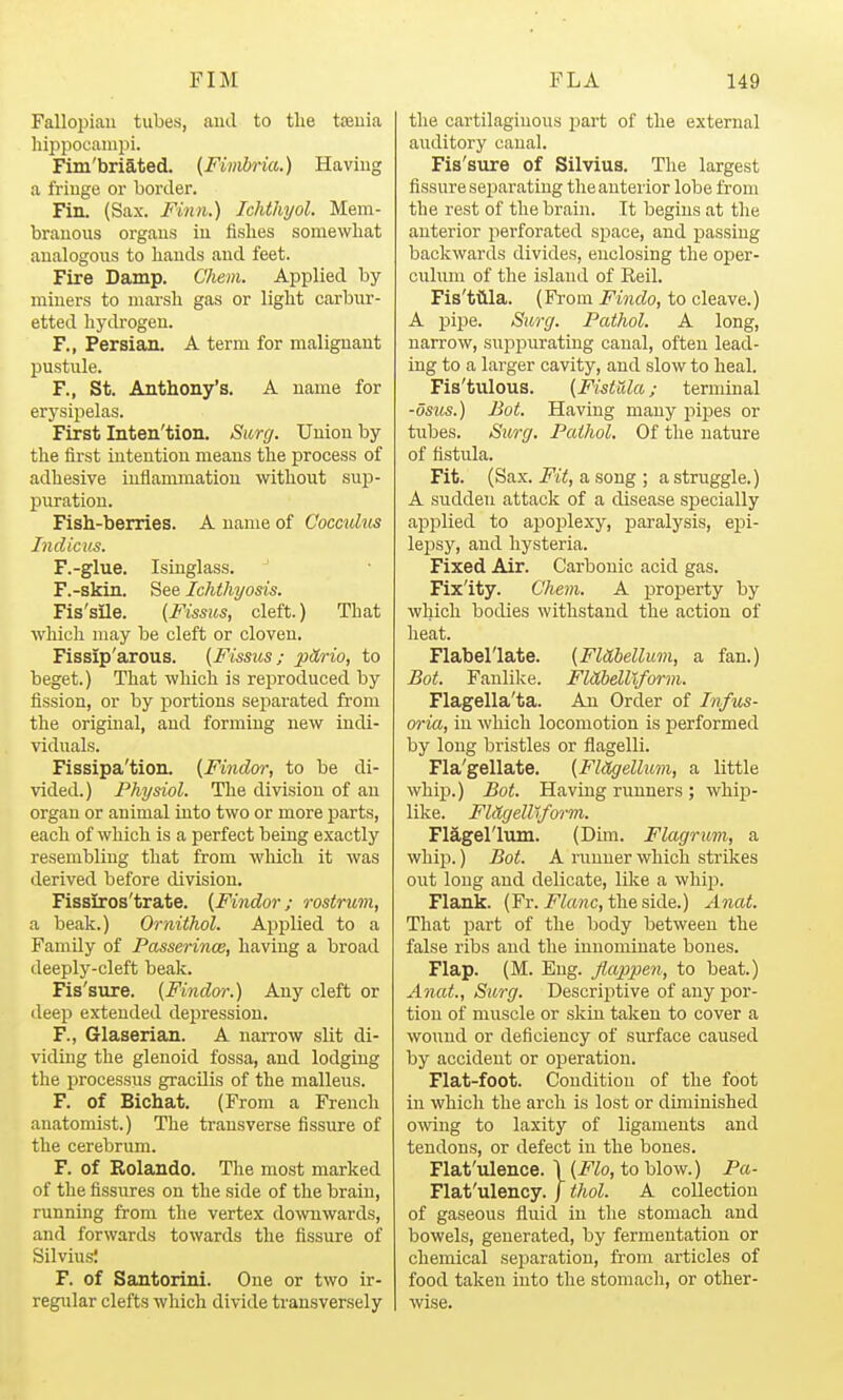 Fallopian tubes, and to tlie tteuia liijjpoeanipi. Fim'briated. (Finihria.) Having a fringe or border. Fin. (Sax. Finn.) Ichthyol. Mem- branous organs in fishes somewhat analogous to hands and feet. Fire Damp. Chem. Applied by miners to marsh gas or light carbur- etted hydrogen. F., Persian. A term for malignant pustule. F., St. Anthony's. A name for erysijjelas. First Inten'tion. Simj. Union by the first intention means the process of adhesive inflammation without sujj- puration. Fish-berries. A name of Cocculus Indicv.s. F.-glue. Isinglass. F.-skin. See Ichthyosis. Fis'sUe. (Fissus, cleft.) That which may be cleft or cloven. Fissip'arous. (Fissus; pHrio, to beget.) That which is reproduced by fission, or by portions separated from the origmal, and forming new indi- viduals. Fissipa'tion. [Findor, to be di- vided.) Physiol. The division of au organ or animal into two or more parts, each of which is a perfect being exactly resembling that from wliicli it was derived before division. Fissiros'trate. {Findor; rostrum, a beak.) Ornithol. Ai^plied to a Family of Passerince, having a broad deeply-cleft beak. Fis'sure. {Findm-.) Any cleft or deep extended depression. F., Glaserian. A narrow slit di- viding the glenoid fossa, and lodging the processus gracilis of the malleus. F. of Bichat. (From a French anatomist.) The transverse fissure of the cerebrum. F. of Rolando. The most marked of the fissures on the side of the brain, running from the vertex do\vnwards, and forwards towards the fissure of SilviusI F. of Santorini. One or two ir- regular clefts which divide transversely the cartilaginous jjart of the external auditory canal. Fis'sure of Silvius. The largest fissure separating the anterior lobe from the rest of the brain. It begins at the anterior jierforated space, and passing backwards divides, enclosing the oper- culum of the island of Reil. Fis'tilla. (From Findo, to cleave.) A pipe. Surg. Pathol. A long, narrow, suppurating canal, often lead- ing to a larger cavity, and slow to heal. Fis'tulous. (Fistula; ternunal -dsns.) Bot. Having many pipes or tubes. S%(,rg. Pathol. Of the nature of fistula. Fit. (Sax. Fit, a song ; a struggle.) A sudden attack of a disease specially applied to apoj)lexy, paralysis, epi- lepsy, and hysteria. Fixed Air. Carbonic acid gas. Fix'ity. Chem. A property by which bodies withstand the action of heat. Flabel'late. (FlUbellmn, a fan.) Bot. Fanlike. FlvLbelllform. Flagella'ta. An Order of Infus- oria, in which locomotion is performed by long bristles or flagelli. Fla'gellate. (FlUgellum, a little whip.) Bot. Having runners; whip- like. FldgelUform. Fiagel'liun. (Dun. Flagrum, a whip.) Bot. A runner which strikes out long and delicate, like a whip. Flank. (Fr. intone, the side.) Anat. That part of the body between the false ribs and the innominate bones. Flap. (M. Eng. fl.appen, to beat.) Anat., Surg. Descriptive of any por- tion of muscle or skin taken to cover a wound or deficiency of surface caused by accident or operation. Flat-foot. Condition of the foot in which the arch is lost or diminished owing to laxity of ligaments and tendons, or defect in the bones. Flat'ulence. 1 (Flo, to blow.) Pa- Flat'ulency. f thol. A collection of gaseous fluid in the stomach and bowels, generated, by fermentation or chemical separation, from articles of food taken into the stomach, or other- wise.