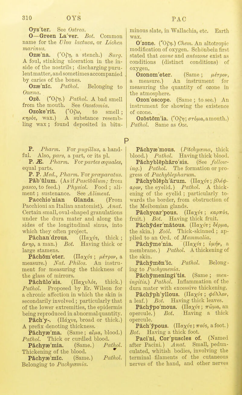 Oys'ter. See Ostrea. 0—Green La'ver. Bot. Common name for the Viva lactuca, or Lichen marinus. Ozae'na. (OfT?, a stench.) Surrj. A foul, stinking ulceration in the in- side of the nostrils; discharging puru- lent matter, and sometimes accompanied by caries of the bones. Ozae'mc. Pathol. Belonging to Ozama. Oze. (Of??.) Pathol. A bad smell from the mouth. See Ozostomia. Ozoke'rit. (Ofw, to smell; K7)p6s, wax.) A substance resemb- ling wax ; found deposited in bitu- minous slate, in Wallachia, etc. Earth wax. O'zone. (Of)).) Chem. An altotropic modification of oxygen. Schonbein first stated that ozone and aniozone exist as conditions (distinct conditions) of oxygen. Ozonom'eter. (Same; fi^rpov, a measure.) An instrument for measuring the quantity of ozone in the atmosphere. Ozon'oBcope. (Same ; to see.) An instrument for showing the existence of ozone. Oz6st6in'ia. (Ofij; arbiia, a mouth.) Pathol. Same as Oze. P. Pharm. 'For pugillus, a, ful. Also, pars, a part, or its pi. P. 2E,. Pharm. For partes cequales, equal parts. P. P. Med., Pharm. Forprceparatus. Pab'iilum. (AsiiPascibulum; from ^asco, to feed.) Physiol. Food; ali- ment ; sustenance. See Aliment. Pacchio'nian Glands. (From Pacchioni an Italian anatomist). Anat. Certain small, oval-shaped granulations imder the dura mater and along the sides of the longitudinal sinus, into which they often project. Pachan'drous. (Ilaxi^s, thick; dfTip, a man.) Bot. Having thick or large stamens. PachSm'eter. (Ilaxi^s; ixirpov, a measure.) Nat. Philos. An instru- ment for measuring the thickness of the glass of mirrors. PacMlo'sis. (HaxiiXij, thick.) Pathol. Proposed by Er. Wilson for a chronic affection in which the skin is secondarily involved; particularly that of the lower extremities, the epidermis being reproduced in abnormal quantity. PS,ch'y-. (Tlaxvi, broad or thick.) A prefix denoting thickness. Pachyae'ma. (Same; a?/tia, blood.) Pathol. Thick or curdled blood. PS,cliyse'niia. (Same.) Pathol. Thickening of the blood. *' P8,chy3e'mic. (Same.) Pathol. Belonging to Pachymmia. P Pachyse'mous. (.PCLchymma, thick blood.) Pathol. Having thick blood. P5,chybl6pliaro'sis. (See follow- ing.) Pathol. The formation or pro- gress of Pachyhlepharum. PS,cliybl6ph'arum. (Haxi^y; jSXe^- a.pov, the eyelid.) Pathol. A thick- ening of the eyelid ; particularly to- wards the border, from obstruction of the Meibomian glands. Pachycar'pous. (Ilaxi^s; Kapirbi, fruit.) Bot. Having thick fruit. Pach^der'matous. (Haxi^s; Sipfia, the skin.) Zool. Thick-skinned ; ap- plied to an Ord. of Mammalia. Pachyme'nia. (Haxi^s; vfi'fiv, a membrane.) Pathol. A thickening of the skin. PachymSnlc. Pathol. Belong- ing to Pachymenia. Pachymeningi'tis. (Same; men- ingitis.) Pathol. Inflammation of the dura mater with excessive thickening. Pach^ph'yllous. (Haxi^s; <p(i\\ov, a leaf.) Bot. Having thick leaves. Pachypo'mous. (Haxi^s; -n-Cifia, an opercule.) Bot. Having a thick opercule. P§,cli'ypous. (Haxi^s; irois, a foot.) Bot. Having a thick foot. Paci'ni, Cor'puscles of. (Nameil after Pacini.) Anat. Small, pedun- culated, whitish bodies, involving the terminal filaments of the cutaneous nerves of the hand, and other nerves