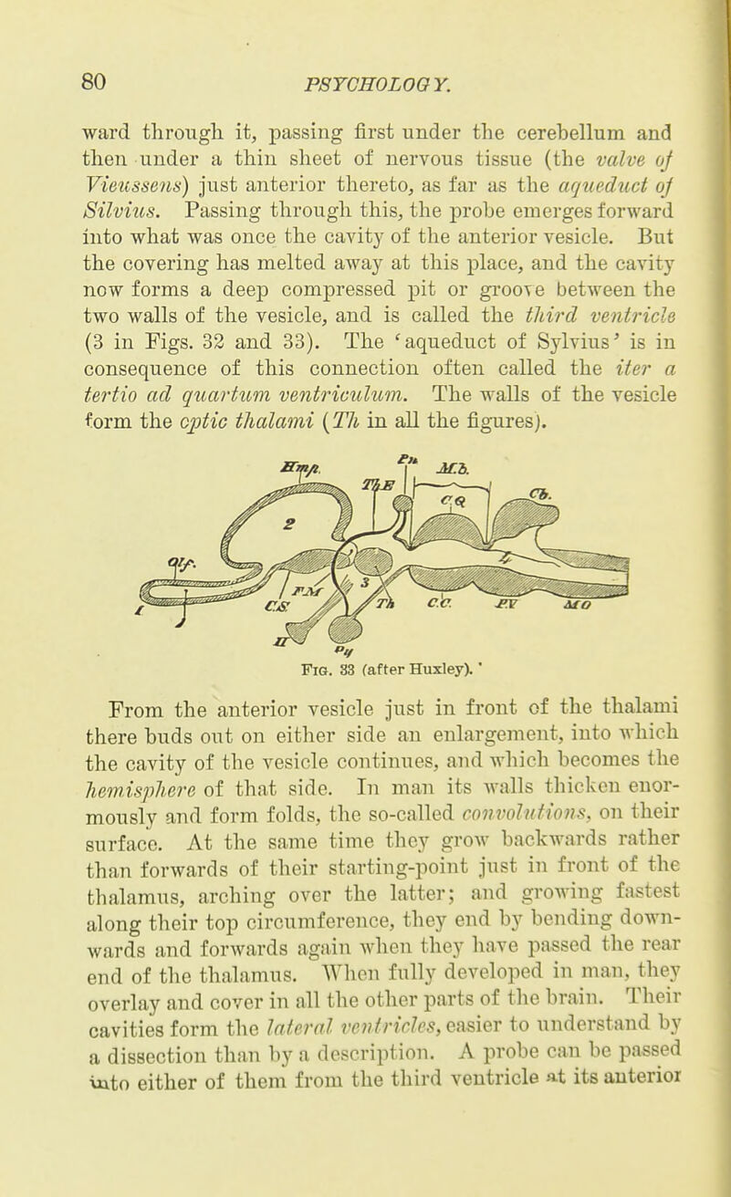 ward through it, passing first under the cerebellum and then under a thin sheet of nervous tissue (the valve oj Vieussens) just anterior thereto, as far as the aqueduct oj Silvius. Passing through this, the probe emerges forward into what was once the cavity of the anterior vesicle. But the covering has melted away at this place, and the cavity now forms a deep compressed pit or groove between the two walls of the vesicle, and is called the third ventricle (3 in Figs. 33 and 33). The 'aqueduct of Sylvius' is in consequence of this connection often called the iter a tertio ad quartum venti^iculum. The walls of the vesicle form the optic thalami {Th in all the figures). Fig. 33 (after Huxley).' From the anterior vesicle just in front of the thalami there buds out on either side an enlargement, into which the cavity of the vesicle continues, and which becomes the hemisphere of that side. In man its walls thicken enor- mously and form folds, the so-called convolutions, on their surface. At the same time they grow backwards rather than forwards of their starting-point just in front of the thalamus, arching over the latter; and growing fastest along their top circumference, they end by bending down- wards and forwards again when they have passed the rear end of the thalamus. When fully developed in man, they overlay and cover in all the other parts of the brain. Their cavities form the lateral ventricles, easier to understand by a dissection than by a description. A probe can be passed \xxto either of them from the third ventricle a-t its anterior