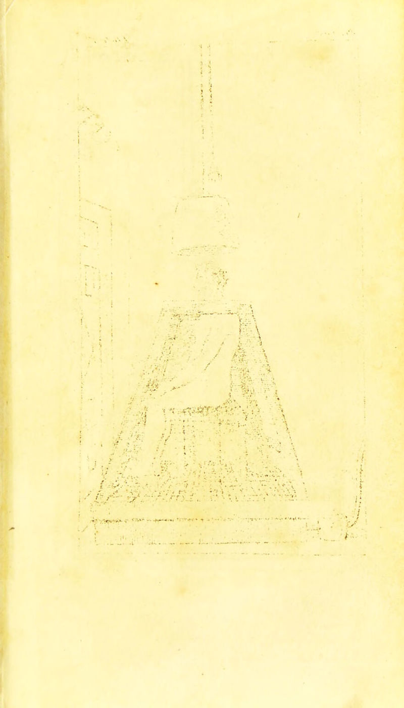 I • & * »•;•'•- -■ -. 'Vs,,.; v