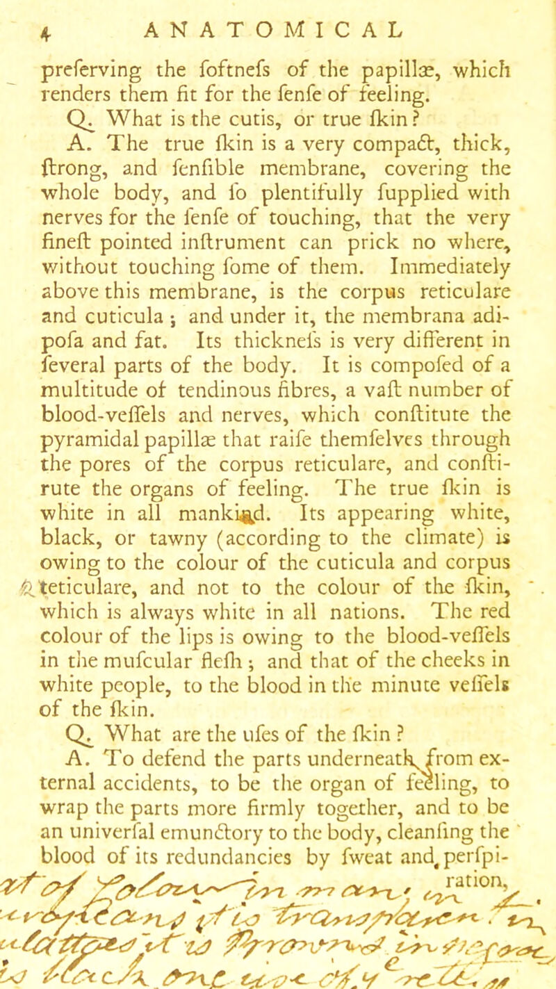 4- preferving the foftnefs of the papillse, which renders them fit for the fenfe of feeling. What is the cutis, or true Ikin ? A. The true flcin is a very compadt, thick, fiirong, and fenfible membrane, covering the whole body, and fo plentifully fupplied with nerves for the fenfe of touching, that the very fineft pointed inftrument can prick no where, without touching fome of them. Immediately above this membrane, is the corpus reticulate and cuticula ; and under it, the membrana adi- pofa and fat. Its thicknefs is very different in feveral parts of the body. It is compofed of a multitude of tendinous fibres, a vaft number of blood-veffels and nerves, which conflitute the pyramidal papillge that raife themfelves through the pores of the corpus reticulare, and conffri- rute the organs of feeling. The true fkin is white in all mankind. Its appearing white, black, or tawny (according to the climate) is owing to the colour of the cuticula and corpus i^teticulare, and not to the colour of tlie flcin, *. which is always white in all nations. The red colour of the lips is owing to the blood-veilels in the mufcular flefli; and that of the cheeks in white people, to the blood in the minute velfels of the fkin. What are the ufes of the fkin ? A. To defend the parts underneath^rom ex- ternal accidents, to be tlie organ of feeling, to wrap the parts more firmly together, and to be an univerfal emundlory to the body, cleanfing the blood of its redundancies by fweat and,perfpi-