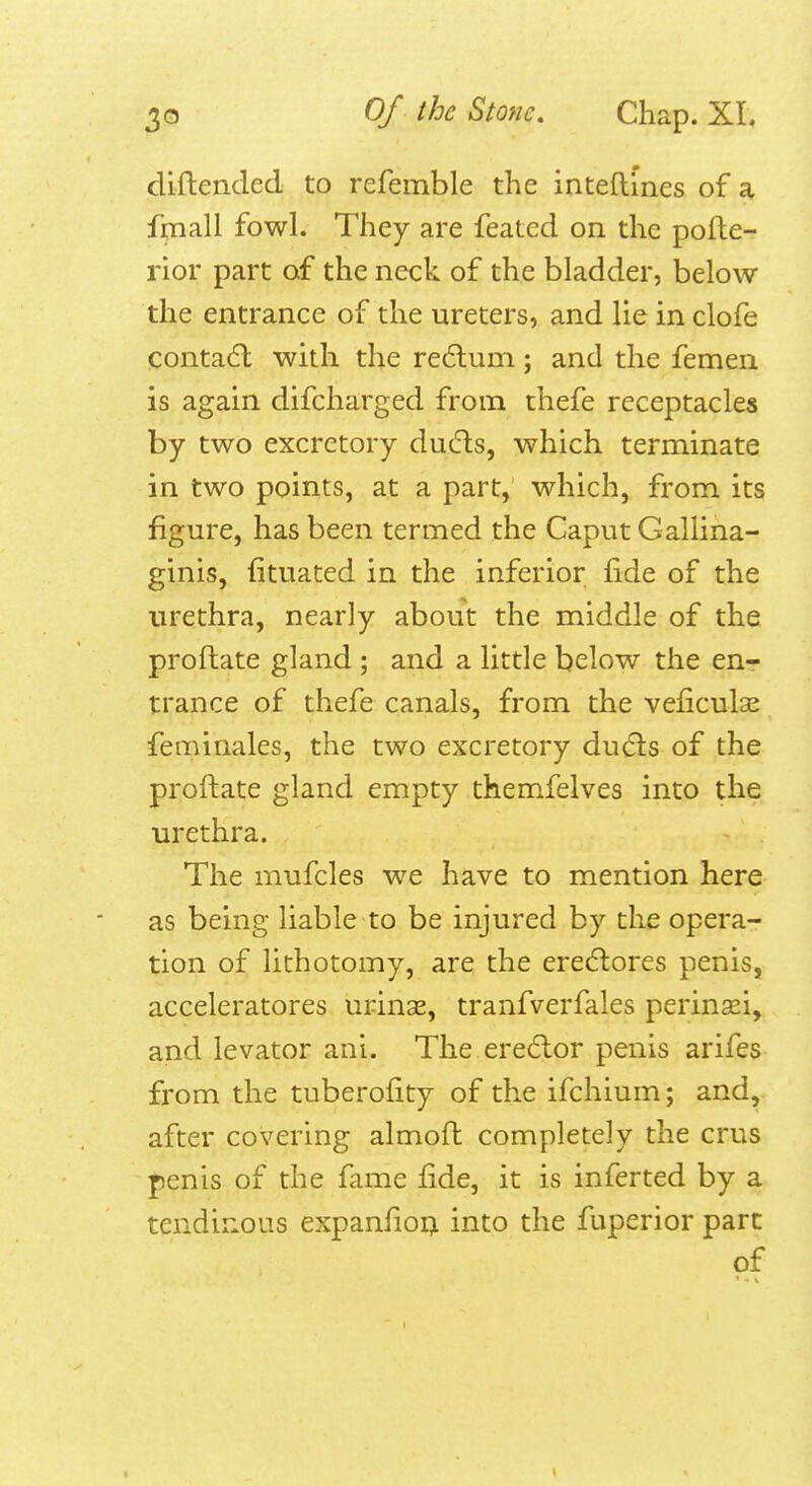 diftended to refemble the inteflines of a fmall fowl. They are feated on the pofte- rior part af the neck of the bladder, below the entrance of the ureters, and lie in clofe contadl with the re6lum; and the femen is again difcharged from thefe receptacles by two excretory duc!n:s, which terminate in two points, at a part, which, from its figure, has been termed the Caput Gallina- ginis, fituated in the inferior fide of the urethra, nearly about the middle of the proftate gland ; and a little below the en- trance of thefe canals, from the veficulae feminales, the two excretory dudls of the proftate gland empty themfelves into the urethra. The mufcles we have to mention here as being liable to be injured by the opera- tion of lithotomy, are the eredlores penis, acceleratores urinse, tranfverfales perinsei, and levator ani. The ere(ftor penis arifes from the tuberolity of the ifchium; and,, after covering almoft completely the crus {)enis of the fame fide, it is inferted by a tendinous expanfioQ into the fuperior part of