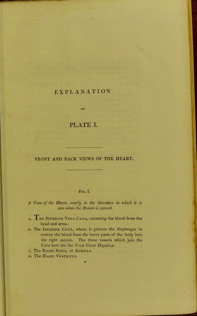 EXPLANATION OF PLATE I. FRONT AND BACK VIEWS OF THE HEART, Fig. I. A View of the Heart, nearly in the Situation in which it is seen when the Breast is opened. A. The Superior Vena Cava, returning the blood from the head and arms. B. The Inferior Cava, where it pierces the diaphragm to convey the blood from the lower parts of the body into the right auricle. The three vessels which join the Cava here are the Vence Caves Hepaticce. c. The Right Sinus, or Auricle. D. The Right Ventricle. B