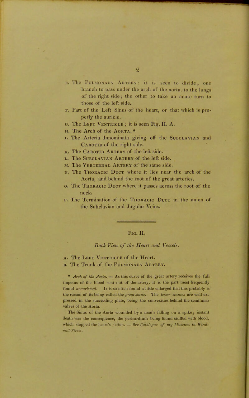 E. The Pulmonary Artery; it is seen to divide; one branch to pass under the arch of the aorta, to the lungs of the right side ; the other to take an acute turn to tliose of the left side. F. Part of the Left Sinus of the heart, or that which is pro- perly the auricle. G. The Left Ventricle ; it is seen Fig. II. A. ir. The Arch of the Aorta. * 1. The Arteria Innominata giving off the Subclavian and Carotid of the right side. K. The Carotid Artery of the left side. L. The Subclavian Artery of the left side. M. The Vertebral Artery of the same side. N. The Thoracic Duct where it lies near the arch of the Aorta, and behind the root of the great arteries. o. The Thoracic Duct where it passes across the root of the neck. p. The Termination of the Thoracic Duct in the union of the Subclavian and Jugular Veins. Fig. II. Back View of the Heart and Vessels. A. The Left Ventricle of the Heart. b. The Trunk of the Pulmonary Artery. * Arch of the Aorta, — As this curve of the great artery receives the full impetus of the blood sent out of the artery, it is the part most frequently found aneurismal. It is so often found a little enlarged that this probably is the reason of its being called the great smus. Tlie lesser smuses are -well ex- pressed in the succeeding plate, being the convexities behind the semilunar valves of the Aorta. The Sinus of the Aorta wounded by a man’s falling on a spike; instant death was the consequence, the pericardium being found stuffed ivith blood, which stopped the heart’s action. — Sec Catalogue of my Museum in Wind- viill-Slreet.