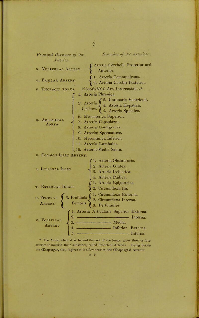 Principal Divisions of the Arteries. Branches oj' the Arteries. N. Vertebral Artery o. Basilar Artery p. Thoracic Aorta 2. Ar Caeliaca liaca.^^; a. Abdominal Aorta {Arteria Ccrebelli Posterior and Anterior. ( 1. Arteria Communicans. S 2. Arteria Cerebri Posterior. 12345678910 Art. Intercostales.*’ 1. Arteria Phrenica. Coronaria Ventriculi. Arteria Hepatica. Arteria Splenica. 6. Mesenterica Superior. 7. Arteriae Capsulares. 8. Arteriae Emulgentes. 9. Arteriae Spermaticae. 10. Mesenterica Inferior. II. Arteriae Lumbales. 12. Arteria Media Sacra. R. Common Iliac Artery. 1. Arteria Obturatoria. 2. Arteria Glutea. 3. Arteria Ischiatica. 4. Arteria Pudica. Arteria Epigastrica. Circuinflexa Ilii. s. Internal Iliac T. External Iliacs u. Femoral Artery { 1. Circumflexa Externa. V. Popliteal Artery Profunda y Circumflexa Interna. Feraoris ^ Perforantes. ■ 1. Arteria Articularis Superior Externa. 2. 3. 4. 5. Media. Inferior Interna. Externa. Interna. * The Aorta, when it is behind the root of the lungs, gives three or four arteries to nourisli their substance, called Bronchial Arteries. Lying beside the (Esophagus, also, it gives to it a few arteries, the (Esophageal Arteries. B 4