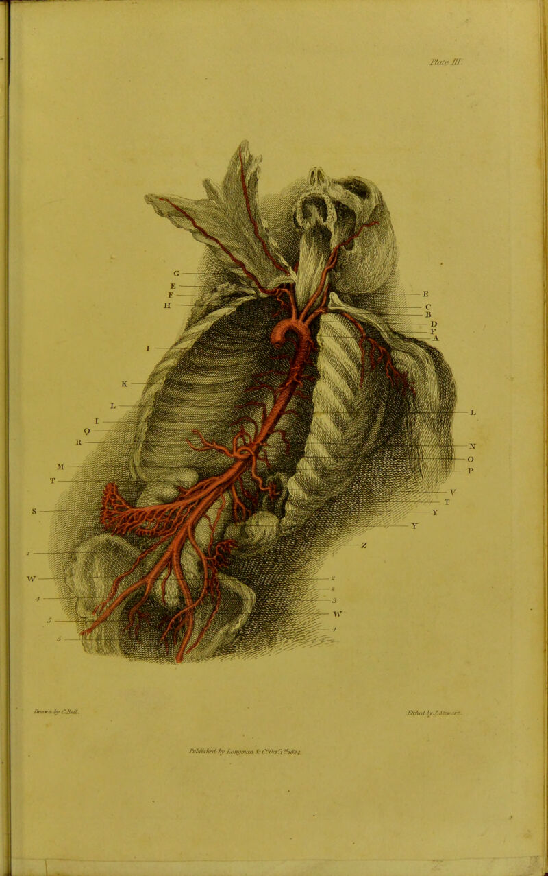 /Matin' fy . 1^, Ktcficti bv*^Ste»-. irt.