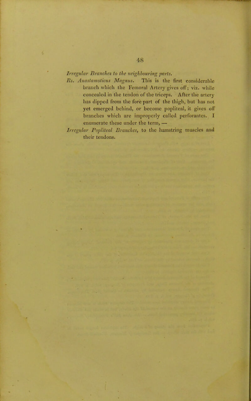 Irregular Branches to the neighbouring parts. Rs. Anaslamoiicus Magnus. This is the first considerable branch which the Femoral Artery gives off; viz. while concealed in the tendon of the triceps. After the artery has dipped from the fore part of the thigh, but has not yet emerged behind, or become popliteal, it gives off branches which are improperly called perforantes. I enumerate these under the term, — Irregular Popliteal Branches, to the hamstring muscles and their tendons.