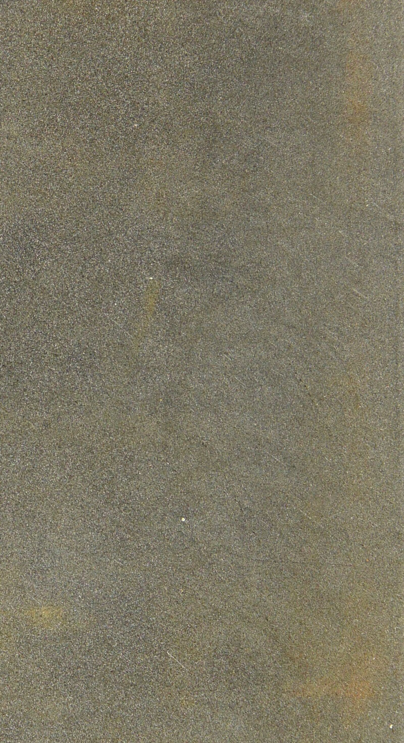 «SVX ^‘^îs'ffî V V <. V> ' AV-> ■. >Y 4 . •'MWf' ÿ Cvy^ll/.$pi.W,