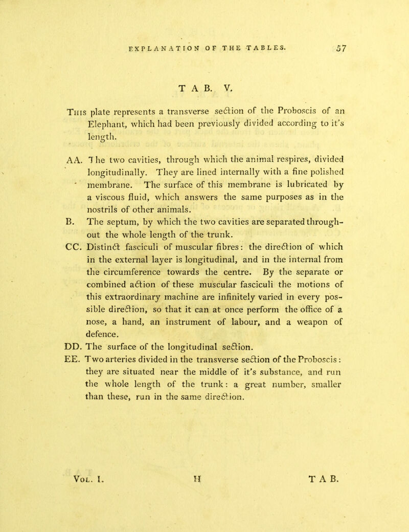 T A B. V. This plate represents a transverse se6lion of the Proboscis of an Elephant, which had been previously divided according to it's length. AA. The two cavities, through which the animal respires, divided longitudinally. They are lined internally with a fine polished * membrane. The surface of this membrane is lubricated by a viscous fluid, which answers the same purposes as in the nostrils of other animals. B. The septum, by which the two cavities are separated through- out the whole length of the trunk. CC. Distin6l fasciculi of muscular fibres: the dire6lion of which in the external layer is longitudinal, and in the internal from the circumference towards the centre. By the separate or combined a6lion of these muscular fasciculi the motions of this extraordinary machine are infinitely varied in every pos- sible dire6lion, so that it can at once perform the office of a nose, a hand, an instrument of labour, and a weapon of defence. DD. The surface of the longitudinal se61ion. EE. Two arteries divided in the transverse section of the Proboscis: they are situated near the middle of it's substance, and run the whole length of the trunk: a great number, smaller than these, run in the same direction.