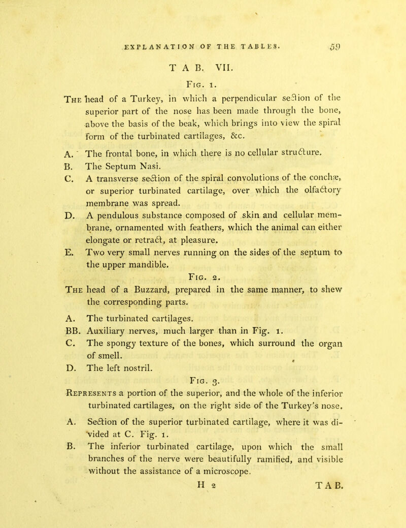 T A B. VII. Fig. 1. The head of a Turkey, in which a perpendicular seflion of the superior part of the nose has been made through the bone, above the basis of the beak, which brings into view the spiral form of the turbinated cartilages, &c. A. ' The frontal bone, in which there is no cellular stru6lure. B. The Septum Nasi. C. A transverse section of the spiral convolutions of the conchae, or superior turbinated cartilage, over which the olfa6lory membrane was spread. D. A pendulous substance composed of skin and cellular mem- brane, ornamented with feathers, which the animal can either elongate or retra6l, at pleasure. E. Two very small nerves running on the sides of the septum to the upper mandible. Fig. 2. The head of a Buzzard, prepared in the same manner, to shew the corresponding parts. A. The turbinated cartilages. BB. Auxiliary nerves, much larger than in Fig. i. C. The spongy texture of the bones, which surround the organ of smell. D. The left nostril. Fig. 3. Represents a portion of the superior, and the whole of the inferior turbinated cartilages, on the right side of the Turkey's nose. A. Se6tion of the superior turbinated cartilage, where it was di- vided at C. Fig. 1. B. The inferior turbinated cartilage, upon which the small branches of the nerve were beautifully ramified, and visible without the assistance of a microscope. H 2 TAB.