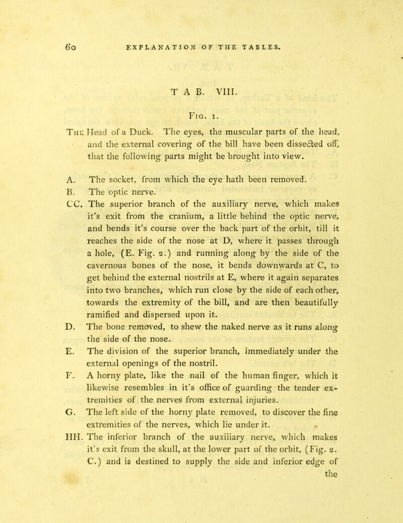 T A B. VIII. Fig. 1. The Head of a Duck. The eyes, the muscular parts of the head, and the external covering of the bill have been disse6ted ofF^ that the following parts might be brought into view. A. The socket, from which the eye hath been removed. B. The optic nerve. CC. The superior branch of the auxiliary nerve, which makes it's exit from the cranium, a little behind the optic nerve, and bends it's course over the back part of the orbit, till it reaches the side of the nose at D, where it passes through a hole, (E. Fig. 2.) and running along by the side of the cavernous bones of the nose, it bends downwards at C, to get behind the external nostrils at E, where it again separates into two branches, which run close by the side of each other^ towards the extremity of the bill, and are then beautifully ramified and dispersed upon it. D. The bone removed, to shew the naked nerve as it runs alonsr the side of the nose. E. The division of the superior branch, immediately under the external openings of the nostril. F. A horny plate, like the nail of the human finger, which it likewise resembles in it's office of guarding the tender ex- tremities of the nerves from external injuries. G. The left side of the horny plate removed, to discover the fine extremities of the nerves, which lie under it. HH. The inferior branch of the auxiliary nerve, which makes it's exit from the skull, at the lower part of the orbit, (Fig. 2. C.) and is destined to supply the side and inferior edge of the