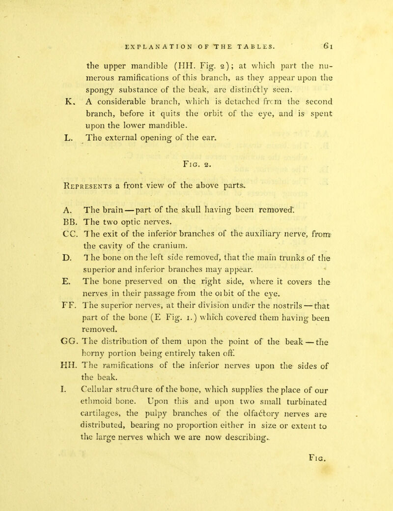 the upper mandible (HH. Fig. 2); at which part the nu- merous ramifications of this branch, as they appear upon the spongy substance of the beak, are distin6liy seen. K» A considerable branch, which is detached frcra the second branch, before it quits the orbit of the eye, and is spent upon the lower mandible. L. The external opening of the ear. Fig. 2. Represents a front view of the above parts. A. The brain—part of the skull havijig been removed'. BB. The two optic nerves. CC. The exit of the inferior branches of the auxiliary nerve, from^ the cavity of the cranium. D. The bone on the left side removed', that the main trunks of the superior and inferior branches may appear. E. The bone preserved on the right side, where it covers the nerves in their passage from the 01 bit of the eye. FF. The superior nerves, at their division under the nostrils — that part of the bone (E Fig. i.) whfch covered them having been removed. GG. The distribution of them upon the point of the beak—the horny portion being entirely taken ort'. HH. The ramifications of the inferior nerves upon the sides of the beak. I. Cellular structure of the bone, which supplies the place of our ethmoid bone. Upon this and upon two small turbinated cartilages, the pulpy branches of the olfa61;ory nerves are distributed, bearing no proportion either in size or extent to the large nerves which we are now describing.. Fig.