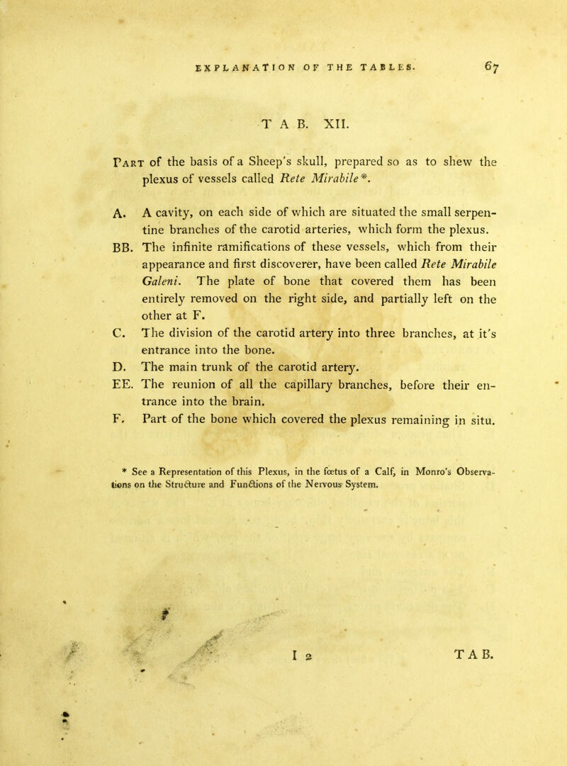 T A B. XII. Part of the basis of a Sheep's skull, prepared so as to shew the plexus of vessels called Rete Mirahile *. A. A cavity, on each side of which are situated the small serpen- tine branches of the carotid arteries, which form the plexus. BB. The infinite ramifications of these vessels, which from their appearance and first discoverer, have been called Rete Mirabile Galeni. The plate of bone that covered them has been entirely removed on the right side, and partially left on the other at F. C. The division of the carotid artery into three branches, at it's entrance into the bone. D. The main trunk of the carotid artery. EE. The reunion of all the capillary branches, before their en- trance into the brain. F. Part of the bone which covered the plexus remaining in situ. * See a Representation of this Plexus, in the foetus of a Calf, in Monro's Observa- tions on the Strufture and Fun6Uons of the Nervous- System.