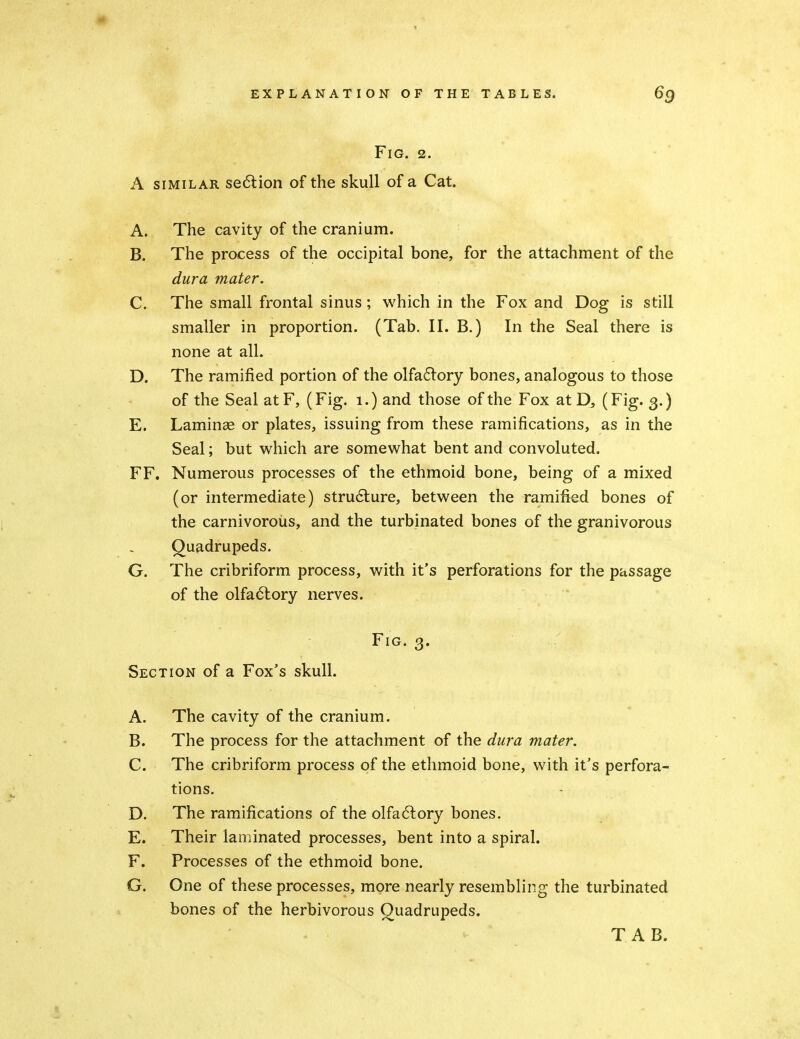 Fig. 2. A SIMILAR se6lion of the skull of a Cat. A. The cavity of the cranium. B. The process of the occipital bone, for the attachment of the dura mater. C. The small frontal sinus; which in the Fox and Dog is still smaller in proportion. (Tab. II. B.) In the Seal there is none at all. D. The ramified portion of the olfa6lory bones, analogous to those of the Seal atF, (Fig. i.) and those of the Fox at D, (Fig. 3.) E. Laminae or plates, issuing from these ramifications, as in the Seal; but which are somewhat bent and convoluted. FF. Numerous processes of the ethmoid bone, being of a mixed (or intermediate) stru6ture, between the ramified bones of the carnivoroiis, and the turbinated bones of the granivorous Quadrupeds. G. The cribriform process, with it's perforations for the passage of the olfa6lory nerves. Fig. 3. Section of a Fox's skull. A. The cavity of the cranium. B. The process for the attachment of the dura mater. C. The cribriform process of the ethmoid bone, with it's perfora- tions. - D. The ramifications of the olfa6lory bones. E. Their laminated processes, bent into a spiral. F. Processes of the ethmoid bone. G. One of these processes, more nearly resembling the turbinated bones of the herbivorous Quadrupeds.