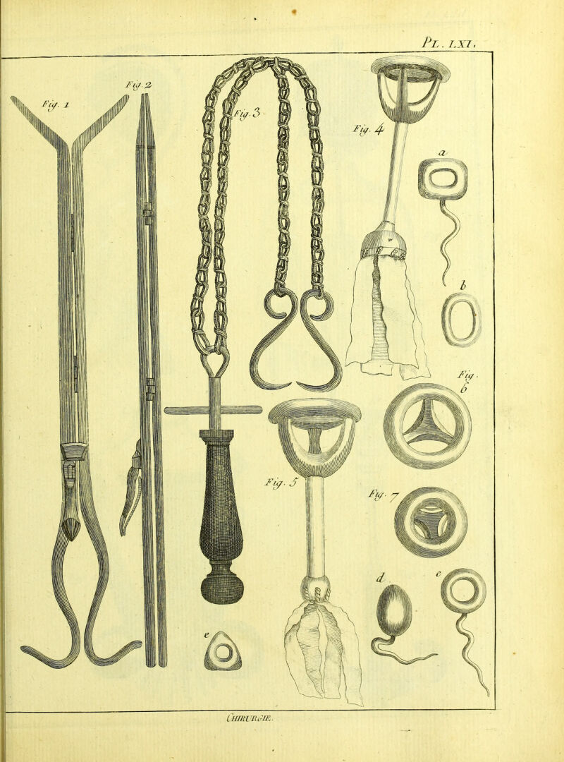 PL . LXI, CmiïURCriE.