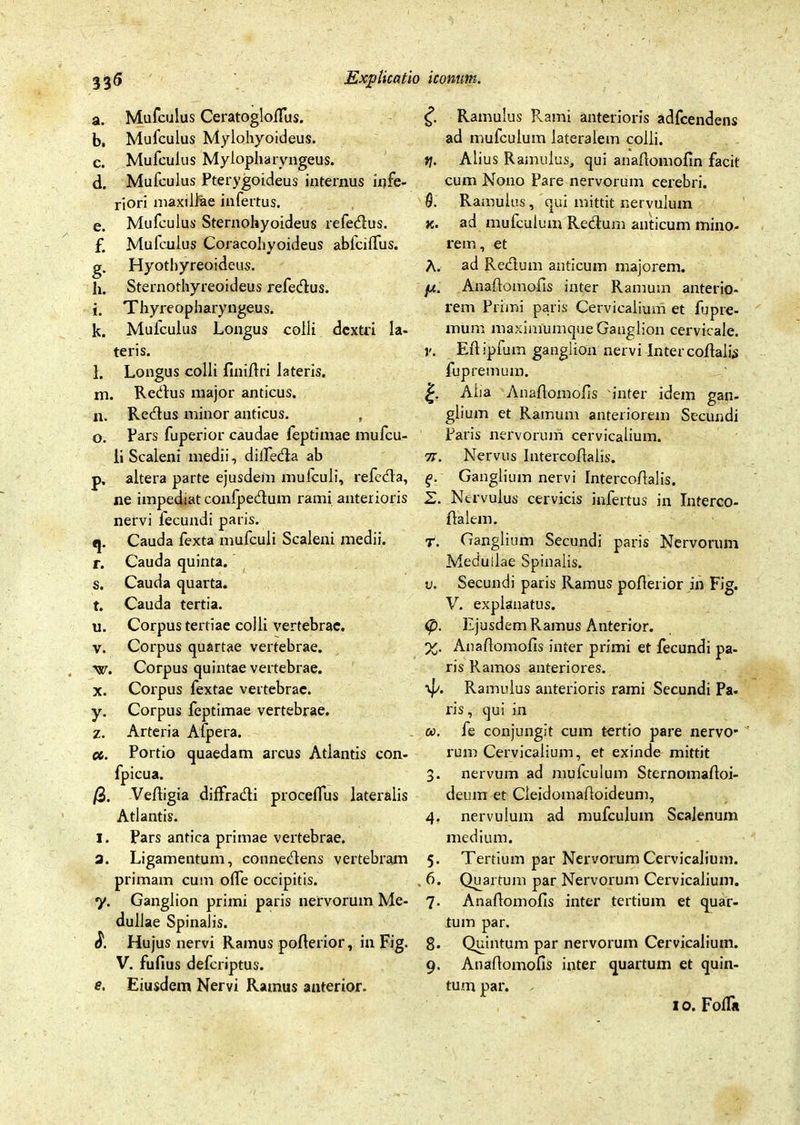 a. Mufculus Ceratoglofius. b. Mufculus Mylohyoideus. c. Mufculus Mylopharyngeus. d. Mufculus Pterygoideus internus infe- riori maxillae infertus. e. Mufculus Sternohyoideus refedus. £ Mufculus Coracohyoideus abfcilfus. g. Hyothyreoideus. h. Sternothyreoideus refedus. i. Thyreopharyngeus. k. Mufculus Longus colli dextri la- teris. l. Longus colli finiflri lateris. m. Regius major anticus. n. Redus minor anticus. , o. Pars fuperior caudae feptimae mufcu- li Scaleni medii, dilfeda ab p. altera parte ejusdem mufculi, refeda, ne impediat confpedum rami anterioris nervi fecundi paris. q. Cauda fexta mufculi Scaleni medii. r. Cauda quinta. s. Cauda quarta. t. Cauda tertia. u. Corpus tertiae colli vertebrae. v. Corpus quartae vertebrae. •w. Corpus quintae vertebrae. x. Corpus fextae vertebrae. y. Corpus feptimae vertebrae. z. Arteria Afpera. #. Portio quaedam arcus Atlantis con- fpicua. /3. Ve/ligia diffradi proceflus lateralis Atlantis. I. Pars antica primae vertebrae. a. Ligamentum, connedens vertebram primam cum ofle occipitis. y. Ganglion primi paris nervorum Me- dullae Spinalis. Hujus nervi Ramus poflerior, in Fig. V. fufius defcriptus. e. Eiusdem Nervi Ramus anterior. £ Ramulus Rami anterioris adfcendens ad mufculum lateralem colli. t]. Alius Ramulus, qui anaftomofin facit cum Nono Pare nervorum cerebri. 0. Ramulus , qui mittit nervulum x. ad mufculum Redum anticum mino- rem, et A. ad Redum anticum majorem. //. Anaflomofis inter Ramum anterio- rem Primi paris Cervicalium et fupre- mum maximumque Ganglion cervicale. v. Eflipfum ganglion nervi Inter coflalis fupremum. Alia Anaflomofis inter idem gan- glium et Ramum anteriorem Secundi Paris nervorum cervicalium. 7r. Nervus Intercoflalis. (>. Ganglium nervi Intercoflalis. 2. Nervulus cervicis infertus in Interco- ftalem. r. Ganglium Secundi paris Nervorum Medullae Spinalis. v. Secundi paris Ramus poflerior in Fig. V. explanatus. <p. Ejusdem Ramus Anterior. %. Anaflomofis inter primi et fecundi pa- ris Ramos anteriores. \p. Ramulus anterioris rami Secundi Pa- ris , qui in oc. fe conjungit cum tertio pare nervo- rum Cervicalium, et exinde mittit 3. nervum ad mufculum Sternomafloi- deum et Cleidomafloideum, 4. nervulum ad mufculum Scalenum medium. 5. Tertium par Nervorum Cervicalium. , 6. Quartum par Nervorum Cervicalium. 7. Anaflomofis inter tertium et quar- tum par. 8. Quintum par nervorum Cervicalium. 9. Anaflomofis inter quartum et quin- tum par. 10. FofTa