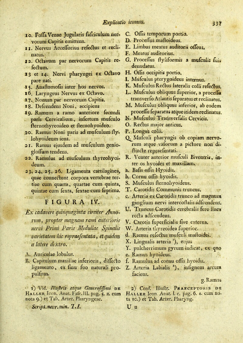 16. Foffia Venae Jugularis fafciculum ner- vorum Capitis emittens. 11. Nervus Accefforius refedus et recli- natus. 12. Odavum par nervorum Capitis re- fedum. 13 et 14. Nervi pharyngei ex Odavo pare nati. 15. Anaftomofis inter hos nervos. 16. Laryngeus Nervus ex Odavo. 17.. Nonum par nervorum Capitis. 18. Defcendens Noni, accipiens 19. Ramum a ramo anteriore fecundi paris Cervicalium, infertum mufculo fternothyreoideo et flernohyoideo. 30. Ramus Noni paris ad mufculum fly- lohyoideum iens. 31. Ramus ejusdem ad mufculum genio- glolfum tendens. 22. Ramulus ad mufculum thyreohyoi- deum. 23, 34, 25, 26. Ligamenta cartilaginea, quae connedunt corpora vertebrae ter- tiae cum quarta, quartae cum quinta, quintae cum fexta, fextae cum feptima. FIGURA IV. Ex cadavere quinquaginta circiter Anno- rum, propter magnam rami anterioris nervi Primi Paris Medullae Spinalis varietatem hic repraefentata, et quidem a latere dextro. A. Auriculae lobulus. B. Capitulum maxillae inferioris, diffiedo ligamento, ex finu fuo naturali pro- pulfutn. • 1) Vid. Iliuftris atque Gemrofiffimi de LIaller Icon. Anat. Fafc.lll. pag. 5. z. cum nota 9.) et Tab. Arter. Pharyngeae. Script. nevr. min. 1.1. C. Offis temporum portio. D. Procelfus mafloideus. E. Limbus meatus auditorii ofleus. F. Meatus auditorius. G. Procelfus ftyliformis a mufculis fuis denudatus. H. Offis occipitis portio. I. Mufculus pterygoideus internus. K. Mufculus Redus lateralis colli refedus. L. Mufculus obliquus fuperior, a proceffii transverfo Atlantis feparatus et reclinatus. M. Mufculus obliquus inferior, ab eodem procdfu feparatus atque itidem reclinatus. N- Mufculus Traiisyerfalis Cervicis. O. Redus major anticus. P. Longus colli. Q^Mulculi pharyngis ob copiam nervo- rum atque vaforum a pidore non di- ffinde repraefentati. R. Venter anterior mufculi Biventris, in- ter os hyoides et maxillam*, a. Balls offis Hyoidis. b. Cornu offis hyoidis. S. Mufculus fternohyoideus. T. Carotidis Communis truncus. c. Arteria ex Carotidis trunco ad magnum ganglium nervi intercoflalis adfcendens. LT. Truncus Carotidis cerebralis fere iinea reda adfcendens. V. Carotis fuperficiaiis five externa. W. Arteria thyreoidea fuperior. d. Ramus refedus mufculi maftoidei. X. Lingualis arteria '), cujus Y. pulcherrimum gyrum indicat, ex quo e. Ramus hyoideus. f. Ramulus, ad cornu offis hyoidis. Z. Arteria Labialis *), inlignem arcum faciens. g. Ramus 2) Conf. Illuftr. Praeceptoris ds Haller Icon Anat. 1. c. pag. 6. e. cum no- ta io.) et Tab. Arter. Pharyng. U u