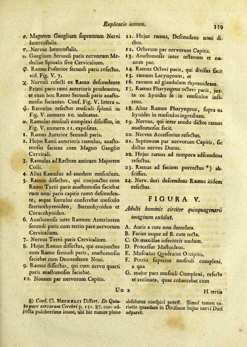 11. Hujus ramus, Defcendens noni di- <r. Magnum Ganglium fupremum Nervi Intercollalis. r. Nervus Intercollalis. v. Ganglium Secundi paris nervorum Me- dullae Spinalis iive Cervicalium. <p. Ramus Pollerior fecundi paris refedus. vid. Fig. V. 7. %. Nervuli refedi ex Ramo defcendente Primi paris rami anterioris prodeuntes, et cum hoc Ramo Secundi paris anafto- mofin facientes. Conf. fig. V. littera u. yp. Ramulus refedus mufculi fplenii iu Fig. V. numero 10. indicatus. a>. Ramulus mufculi complexi difcilfus, in Fig. V. numero f 1. expolitus. 1. Ramus Anterior Secundi paris. 2. Hujus Rami anterioris ramulus, anafto- mofin faciens cum Magno Ganglio Cervicali. 3. Ramulus adRedum anticum Majorem Colli. 4* Alius Ramulus ad eundem mufculum. 5. Ramus dilfedus, qui conjundus cum Ramo Tertii paris anaftomofin faciebat cum noni paris capitis ramo defcenden- te, atque furculus conferebat mufculo Sternotbyreoideo, Sternohyoideo et Coracohyoideo. 6. Anaftomofis inter Ramum Anteriorem fecundi paris cum tertio pare nervorum Cervicalium. 7. Nervus Tertii paris Cervicalium. g. Hujus Ramus dilfedus, qui conjundus cum Ramo fecundi paris, anallomolin faciebat cum Descendente Noni. 9. Ramus dilfedus, qui cum nervo quarti paris anaftomofin faciebat. 1 o. Nonum par nervorum Capitis. dus. 12. Odavum par nervorum Capitis. 13. Anaflomofis inter odavum et na- num par. 14. Ramus Odavi paris, qui divifus facit 15. ramum Laryngeum, et 16. ramum ad glandulam thyreoideam. 17- Ramus Pharyngeus odavi paris, jux- ta os hyoides fe in mufculos infe- rens. Ig. Alius Ramus Pharyngeus, fupra Os hyoides in mufculos ingrediens. 19. Nervus, qui inter modo didos ramos anallomolin facit, 20. Nervus Accelforius refedus, 21. Septimum par nervorum Capitis, fic didus nervus Durus. 22. Hujus ramus ad tempora adlcendens refedus. 23. Ramus ad faciem porredus 6) ab- fcilfus. 24. Nerv. duri defcendens Ramus itidem refedus. FIGURA V. -Adulti hominis circiter quinquagenarii imaginem exhibet. A. Auris a cute non denudata. B. Facies usque ad B. cute teda. C. Os maxiilae inferioris nudum. D. Procelfus Maltoideus. E. Mulculus Quadratus Occipitis. F. Portio fuperior mufculi complexi, a qua G. major pars mufculi Complexi, refeda et reciinata, quae cohaerebat cum H. tertia Uu 2 8) Conf. Cl. Meckelii Differt. De Quin- abfolutus confpici poteft. Simul tamen va- topare nervorum Cerebri p. 131. 87- cum ad- riatio quaedam in Divifione hujus nervi Duri j etta pulcherrima icone, ubi hic ramus plene adparet.
