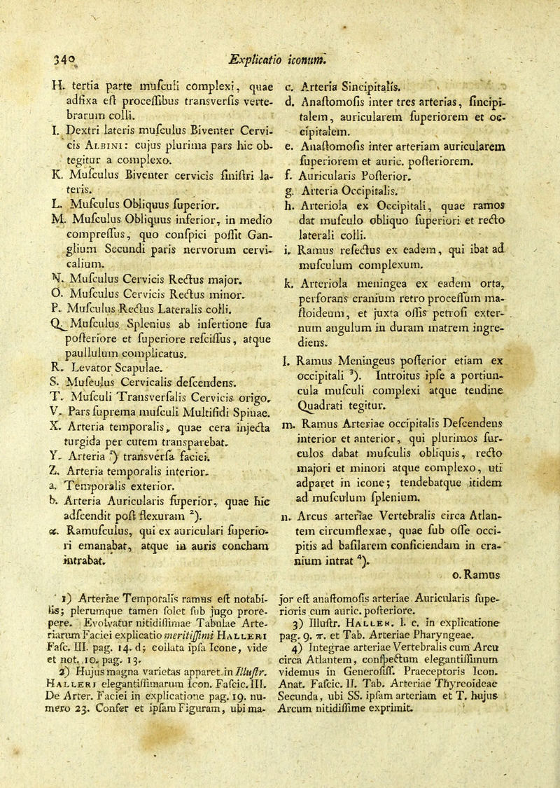 H. tertia parte mufcuii complexi, quae adfixa efl proceffibus transverfis verte- brarum colli. I. Dextri lateris mufculus Biventer Cervi- cis Albini: cujus plurima pars hic ob- tegitur a complexo. K. Mufculus Biventer cervicis flniflri la- teris. L. Mufculus Obliquus fuperior. M. Mufculus Obliquus inferior, in medio eomprelfus, quo confpici poifit Gan- glium Secundi paris nervorum cervi- calium. N. Mufculus Cervicis RecAus major. O. Mufculus Cervicis Recfius minor. P. Mufculus Redus Lateralis colli. Mufculus Splenius ab infertione fua poflenore et fuperiore refciifus, atque pauliulum complicatus. R. Levator Scapulae. S. Mufculus Cervicalis defcendens. T. Mufcuii Transverfalis Cervicis origo, V. Pars fuprema mufcuii Multifidi Spinae. X, Arteria temporalis, quae cera injecta turgida per cutem transparebat. Y, Arteria r) transverfa faciei. Z, Arteria temporalis inferior. a. Temporalis exterior. b. Arteria Auricularis fuperior, quae hie adfeendit pofl flexuram z). x. Ramufculus, qui ex auriculari fiaperio'- ri emanabat, atque ia auris concham intrabat, 1) Arteriae Temporalis ramus eft notabi- tis; plerumque tamen folet fub jugo prore- pere. Evolvatur nitldifiirnae Tabulae Arte- riarum Faciei explicatio meritijjimi Hali.eri Fafc. III. pag. 14. d; collata ipla Icone, vide et not, 10, pag. 13. 2) Hujus magna varietas apparet.in Illujlr. Halleri elega ntiifimarum Icon. Fafcic.III. De Arter. Faciei in explicatione pag. 19. nu- mero 23, Confer et ipfamFiguram, ubima- c. Arteria Sincipitalis. d. Anaflomofis inter tres arterias, fincipi- talem, auricularem fuperiorem et oc- cipitalem. e. Anaflomofis inter arteriam auricularem fuperiorem et auric. pofleriorem. f. Auricularis Poflerior. g. Arteria Occipitalis. h. Arteriola ex Occipitali, quae ramos dat mufeulo obliquo fuperiori et redo laterali colli. i. Ramus refedus ex eadem, qui ibat ad. mufcuium complexum. k. Arteriola meningea ex eadem orta, perforans cranium retro proceffum ma- floideum, et juxta olfis petrofi exter- num angulum iu duram matrem ingre- diens. l. Ramus Meningeus poflerior etiam ex occipitali 1 2 3). Introitus ipfe a portiun- cula mufcuii complexi atque teudine Quadrati tegitur. m. Ramus Arteriae occipitalis Defcendens interior et anterior, qui plurimos fur- culos dabat mufculis obliquis, redo majori et minori atque complexo, uti adparet in icone; tendebatque itidem, ad mufcuium fplenium. n. Arcus arteriae Vertebralis circa Atlan- tem circumflexae, quae fub ofle occi- pitis ad bafilarem conficiendam in cra- nium intrat 4). o. Ramus jor eft anaflomofis arteriae Auricularis fupe- rioris cum auric. pofteriore. 3) Illuflr. Hallek. 1. c. in explicatione pag. 9. t. et Tab. Arteriae Pharyngeae. 4) Integrae arteriae Vertebralis cum Arcu circa Atlantem, confbedum elegantiffimum videmus in Generofm*. Praeceptoris Icon. Anat. Fafcic. 11. Tab. Arteriae Thyreoideae Secunda, ubi SS. ipfam arteriam et T. hujus Arcum nitidiflime exprimit.