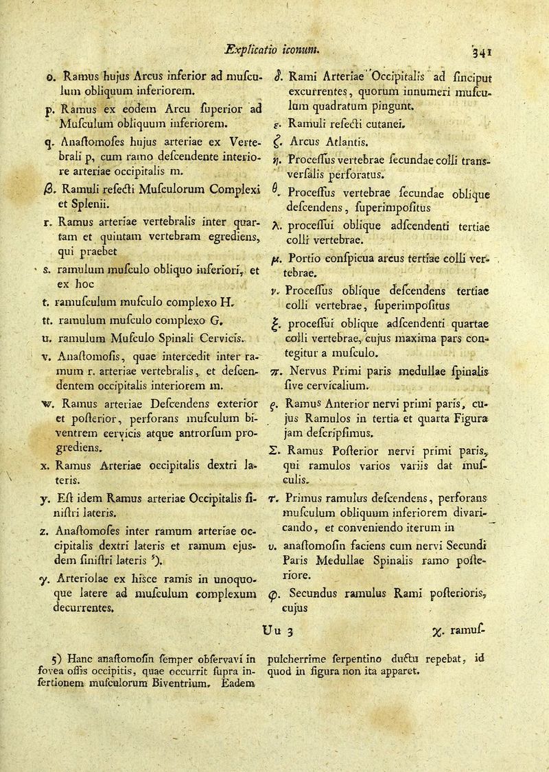 o. Ramus hujus Arcus inferior ad mufcu- lum obliquum inferiorem. p. Ramus ex eodem Arcu fuperior ad Mufculum obliquum inferiorem. q. AnaAomofes hujus arteriae ex Verte- brali p, cum ramo defcendente interio- re arteriae occipitalis m. /3» Ramuli refe&i Mufculorum Complexi et Splenii. r. Ramus arteriae vertebralis inter quar- tam et quintam vertebram egrediens, qui praebet • s. ramulum mufculo obliquo inferiori, et ex hoc t. ramufculum mufculo complexo H. tt. ramulum mufculo complexo G* u. ramulum Mufculo Spinali Cervicis» v. AnaAomofis, quae intercedit inter ra- mum r. arteriae vertebralis,, et defcen- dentem occipitalis interiorem m. V. Ramus arteriae Defcendens exterior et poAerior, perforans mufculum bi- ventrem cervicis atque antrorfum pro- grediens. x. Ramus Arteriae occipitalis dextri la- teris. y. EA idem Ramus arteriae Occipitalis fi- ni Ari lateris. 2. AnaAomofes infer ramum arteriae oc- cipitalis dextri lateris et ramum ejus- dem fini Ari la teris 5). y. Arteriolae ex hisce ramis in unoquo- que latere ad mufculum complexum decurrentes. 5) Hanc anaftomofin femper obfervavi in fovea offis occipitis, quae occurrit fupra in- fertionem mufculorum Biventrium» Eadem <?. Rami Arteriae Occipitalis ad Anciput excurrentes, quorum innumeri mufcu- lum quadratum pingunt, f. Ramuli refe<Ai cutanei. £ Arcus Atlantis. Yj. Procefius vertebrae fecundae colli trans- verfalis perforatus. Procelfus vertebrae fecundae oblique defcendens, fuperimpoAtus A. proceffui oblique adfcendenti tertiae collr vertebrae. pt. Portio confpicua arcus tertiae colli ver- tebrae. r, Pro ce Au s oblique defcendens tertiae colli vertebrae, fuperimpofltus proceffui oblique adfcendenti quartae colli vertebrae, cujus maxima pars con- tegitur a mufculo. tt. Nervus Primi paris medullae fpinalis Ave cervicalium. £. Ramus Anterior nervi primi paris, cu- jus Ramulos in tertia et quarta Figura jam defcripAmus. 2. Ramus PoAerior nervi primi paris,, qui ramulos varios variis dat muf culis. \ r. Primus ramulus defcendens, perforans mufculum obliquum inferiorem divari- cando , et conveniendo iterum in v. anaAomoAn faciens cum nervi Secundi Paris Medullae Spinalis ramo poAe- riore. (p. Secundus ramulus Rami poAerioris, cujus pulcherrime ferpentino duftu repebat, id quod in figura non ita apparet.