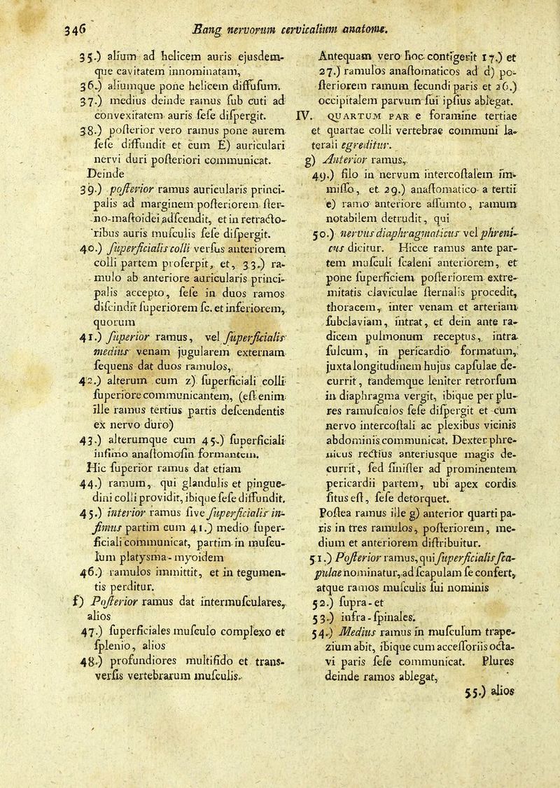 35. ) alium ad helicem auris ejusdem- que cavitatem innominatam, 36. ) aliumque pone helicem diffufum. 37. ) medius deinde ramus fub cuti ad convexitatem auris fefe difpergit. 38- ) pofierior vero ramus pone aurem fefe diffundit et cum E) auriculari nervi duri pofleriori communicat. Deinde 39- ) pofierior ramus auricularis princi- palis ad marginem pofleriorem fier- no-maftoidei adfcendit, et in retrado- 'ribus auris mufculis fefe difpergit. 40. ) fiuperficialiscolli verfus anteriorem colli partem proferpit, et, 33») ra- mulo ab anteriore auricularis princi- palis accepto, fefe in duos ramos difcindit fuperiorem fc. et inferiorem, quorum 41. ) /aperior ramus, vel fuperficialis medius venam jugularem externam fequens dat duos ramulos, 42. ) alterum cum z) fuperficiali colli- fuperiore communicantem, (efienim ille ramus tertius partis defcendentis ex nervo duro) 43. ) aJterumque cum 45^) fuperficiali infimo anafiomofin formantem. Hic fuperior ramus dat etiam 44. ) ramum, qui glandulis et pingue- dini colli providit, ibique fefe diffundit. 45-) interior ramus live fuperficialis in- fimus partim cum 4.1.) medio fuper- ficiali communicat, partim in mufou- lum platysma-myoidem 46. ) ramulos immittit, et in tegumen* tis perditur. f) Pofierior ramus dat intermufculares, alios 47. ) fuperficiales mufculo complexo et fplenio, alios 48>) profundiores multifido et trans- verfis vertebrarum mufculis. Antequam vero hoo contigerit 17.) et 27.) ramulos anafiomaticos ad d) pc- fteriorem ramum fecundi paris et a 6.) occipitalem parvum fui ipfius ablegat. IV. quartum par e foramine tertiae et quartae colli vertebrae communi la- terali egreditur. g) Anterior ramus,. 49. ) filo in nervum intercofialem fm- miflb, et 29.) anaflomatico a tertii e) ramo anteriore alfumto, ramum notabilem detrudit, qui 50. ) nervus diaphragmaticus vel phreni- cus dicitur. Hicce ramus ante par- tem mufculi fcaleni anteriorem, et pone fuperficiem pofleriorem extre- mitatis claviculae llernalis procedit, thoracem, inter venam et arteriam fiibclaviam, intrat, et dein ante ra- dicem pulmonum receptus, intra- filicum, in pericardio formatum,-' juxtalongitudinem hujus capfulae de- currit , fandemque leniter retrorfura in diaphragma vergit, ibique per plu~ res ramnfcuios fefe difpergit et -cum nervo intercofiali ac plexibus vicinis abdominis communicat. Dexter phre- nicus redtius anteriusque magis de- currit, fed finifier ad prominentem pericardii partem, ubi apex cordis litus efi, fefe detorquet. Foftea ramus ille g) anterior quarti pa- ris in tres ramulos, pofleriorem, me- dium et anteriorem difiribuitur. 5.1.) Pofierior ramus, quifiiperficialis/ca- pulae nominatur,ad fcapulam fe confert, atque ramos mulculis fui nominis 52. ) fupra-et 53. ) infra - fpinales. 54. ) Medius ramus in nmfculum trape- zium abit, ibique cum accefforiis oda- vi paris fefe communicat. Plures deinde ramos ablegat, 55.) alios
