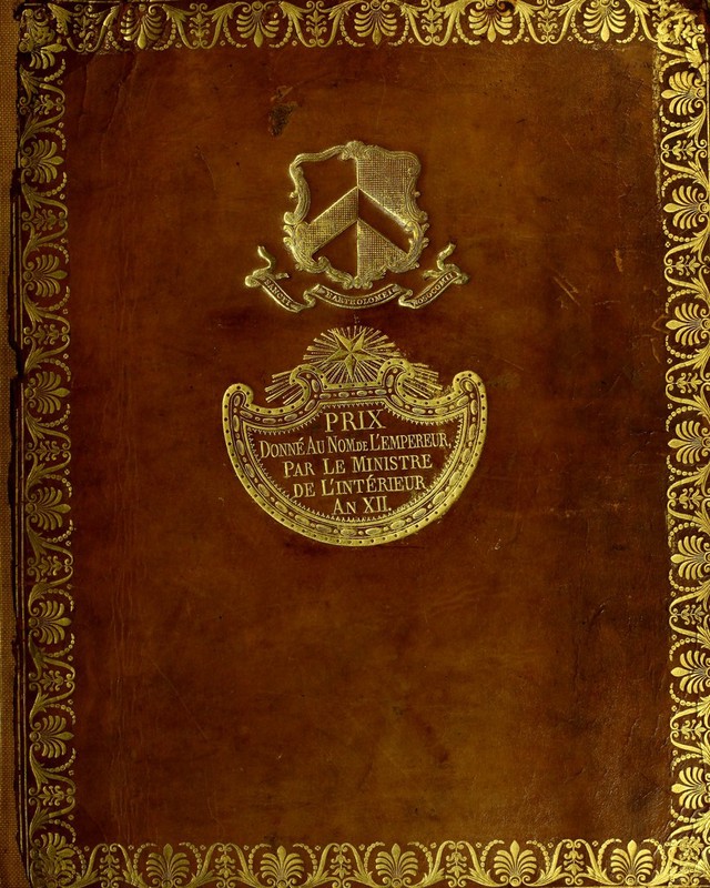 No text description is available for this image