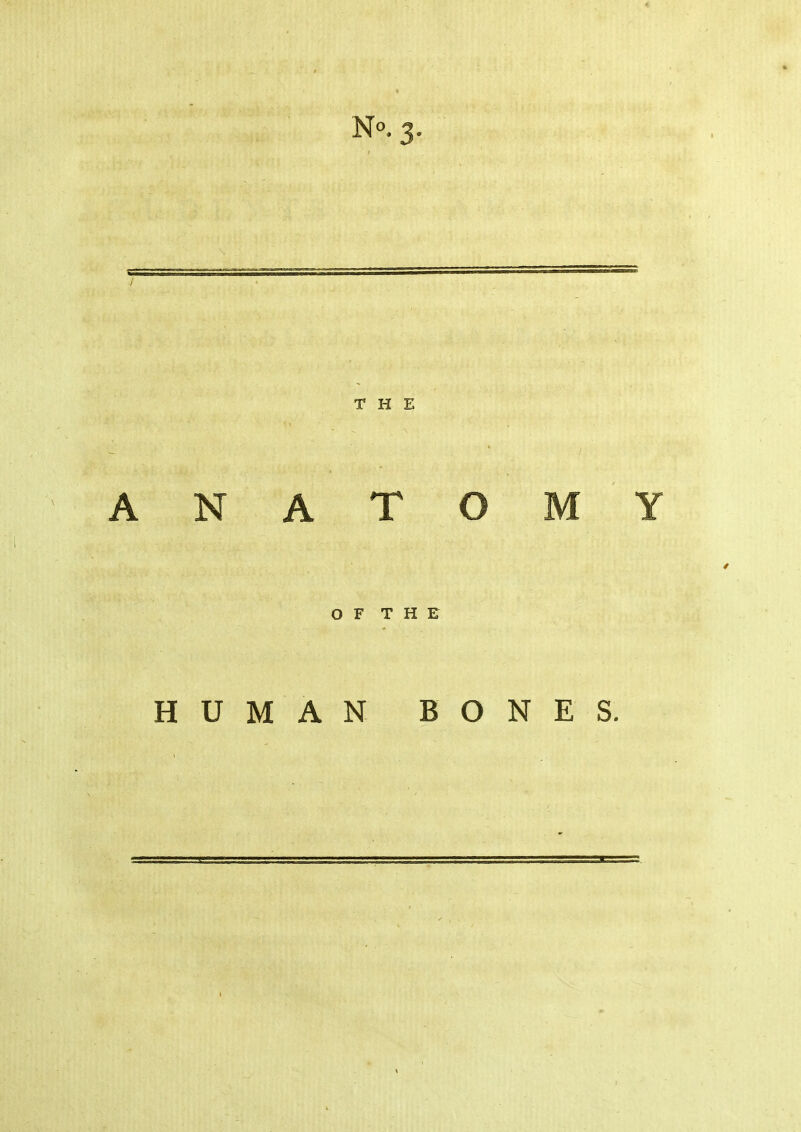 No. 3. THE A N A T O M Y OF THE HUMAN BONES.