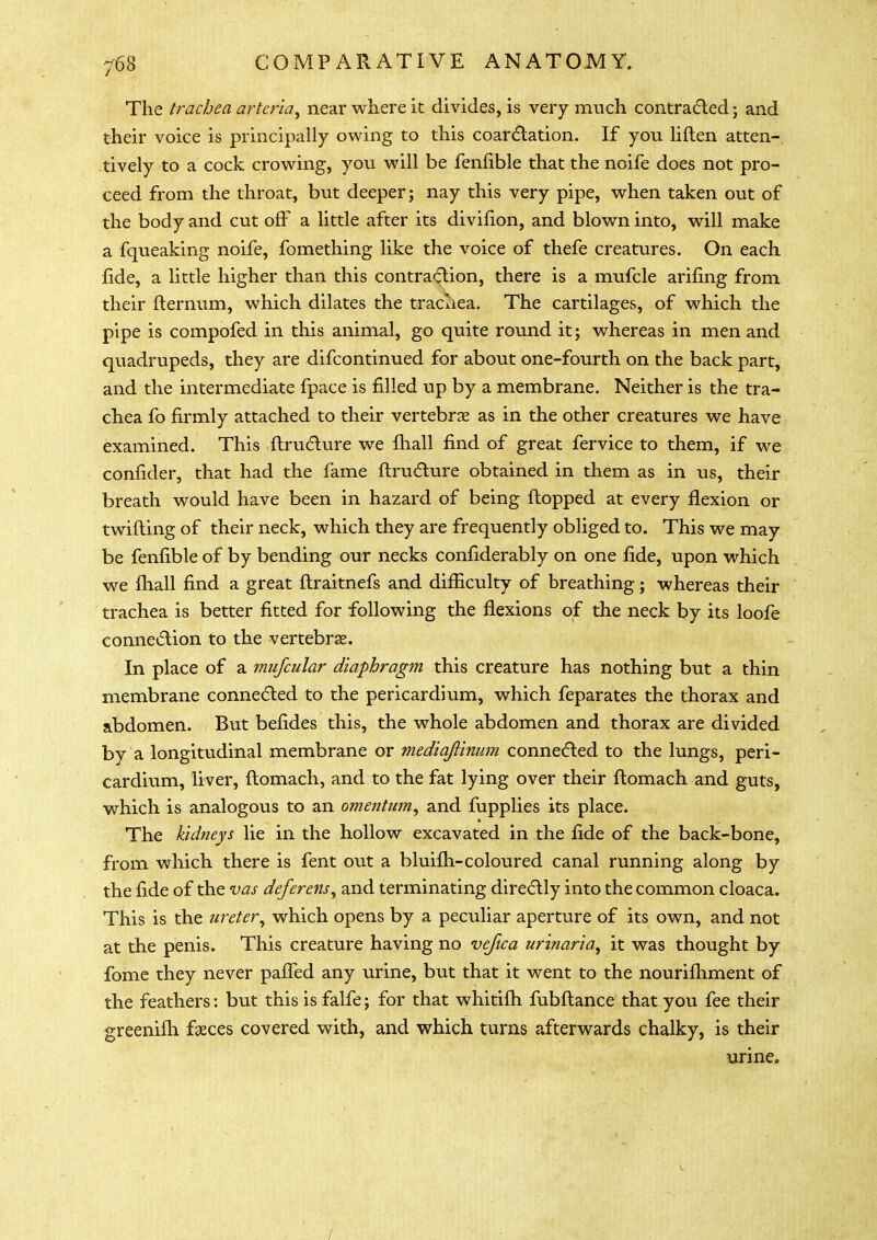 The trachea arteria, near where it divides, is very much contracted; and their voice is principally owing to this coarctation. If you liften atten- tively to a cock crowing, you will be fenfible that the noife does not pro- ceed from the throat, but deeper; nay this very pipe, when taken out of the body and cut off a little after its divifion, and blown into, will make a fqueaking noife, fomething like the voice of thefe creatures. On each fide, a little higher than this contraction, there is a mufcle arifing from their flernum, which dilates the tracliea. The cartilages, of which the pipe is compofed in this animal, go quite round it; whereas in men and quadrupeds, they are difcontinued for about one-fourth on the back part, and the intermediate fpace is filled up by a membrane. Neither is the tra- chea fo firmly attached to their vertebrae as in the other creatures we have examined. This flructure we mail find of great fervice to them, if we confider, that had the fame ftructure obtained in them as in us, their breath would have been in hazard of being flopped at every flexion or twirling of their neck, which they are frequently obliged to. This we may be fenfible of by bending our necks confiderably on one fide, upon which we mall find a great flraitnefs and difficulty of breathing; whereas their trachea is better fitted for following the flexions of the neck by its loofe connection to the vertebras. In place of a mufcular diaphragm this creature has nothing but a thin membrane connected to the pericardium, which feparates the thorax and abdomen. But befides this, the whole abdomen and thorax are divided by a longitudinal membrane or mediajlinum connected to the lungs, peri- cardium, liver, flomach, and to the fat lying over their flomach and guts, which is analogous to an omentum, and fupplies its place. The kidneys lie in the hollow excavated in the fide of the back-bone, from which there is fent out a bluifh-coloured canal running along by the fide of the vas deferens, and terminating directly into the common cloaca. This is the ureter, which opens by a peculiar aperture of its own, and not at the penis. This creature having no vefica urinaria, it was thought by fome they never paffed any urine, but that it went to the nourifhment of the feathers: but this is falfe; for that whitifh fubflance that you fee their greenifh faeces covered with, and which turns afterwards chalky, is their urine, /