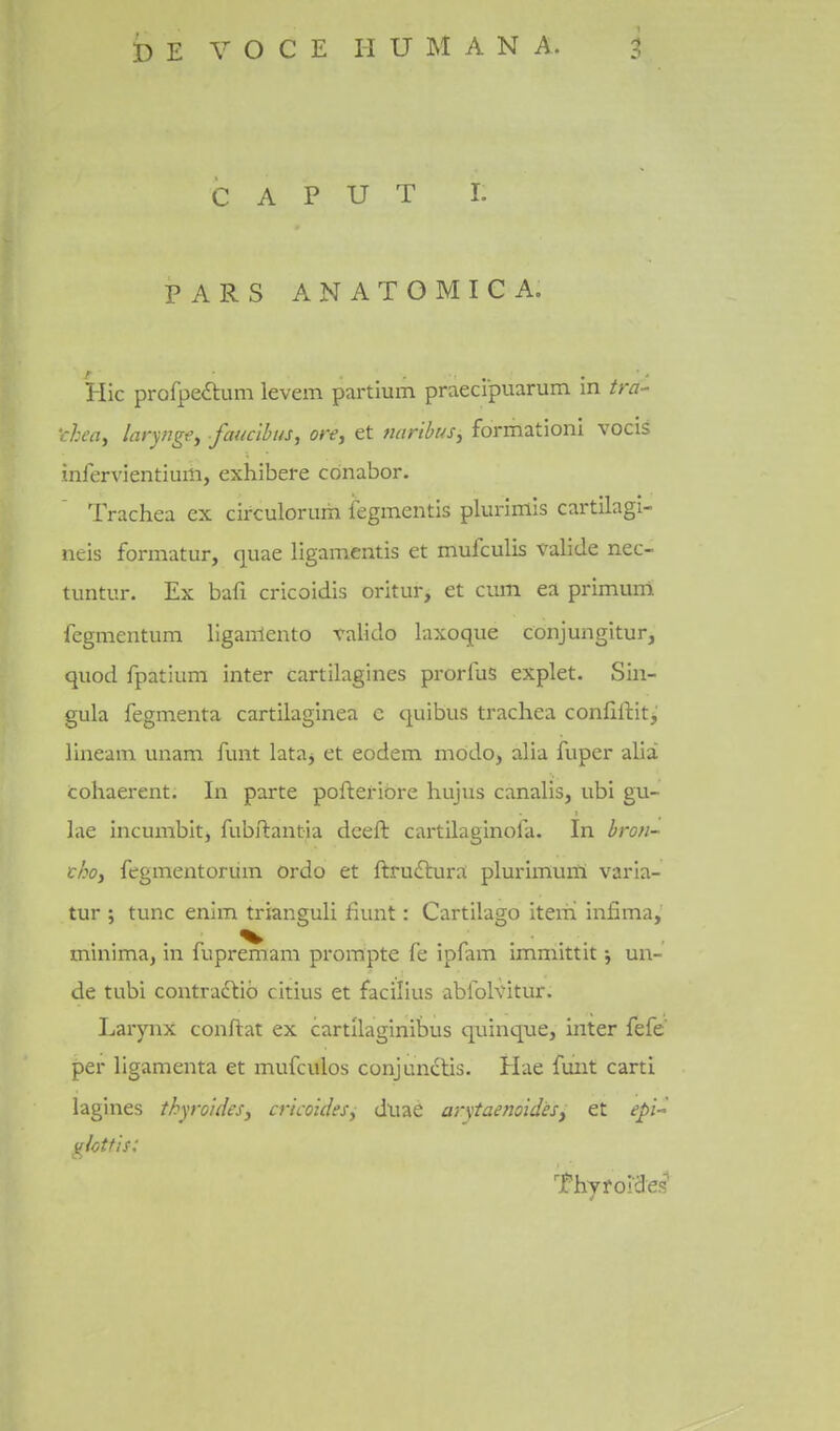 CAPUT I. PARS ANATOMIC A, Hie profpeilum levem partium praecipuarum in tra- t-h'ay laryjjgfy faiicihus, ore, et tuiribuSj formationi vocis infervientium, exhibere cdnabor. Trachea ex circulorum iegmentis plurlmis cartilagi- neis formatur, quae ligamentis et mufculis falide nec- tuntur. Ex bafi cricoidis oritur, et cum ea primunl fegmentum liganlento valido laxoque conjungitur, quod fpatium inter cartilagines prorfus explet. Sin- gula fegmenta cartilaglnea e quibus trachea confiftitj' lineam unam funt lataj et eodem mddo, alia fuper alia cohaerent. In parte poftefibre hujus canalis, ubi gu- lae incumbit, fubftantia dceft cartilaginola. In hroti- choi fegmentoriim ordo et ftrudtura; plurimum varia- tur ; tunc enlm trianguli fiunt: Cartilago item infima, minima, in fupremam prompte fe ipfam immittit j un- de tubi contraftib citius et facilius ablolvitur. Larynx conftat ex cartllaginibus quinque, inter fefe' per ligamenta et mufculos conjundtis. Hae funt carti lagines thyroideSy cricoideSy dliae arytaenoidesy et epi-^ n^lottis: Thyfoides