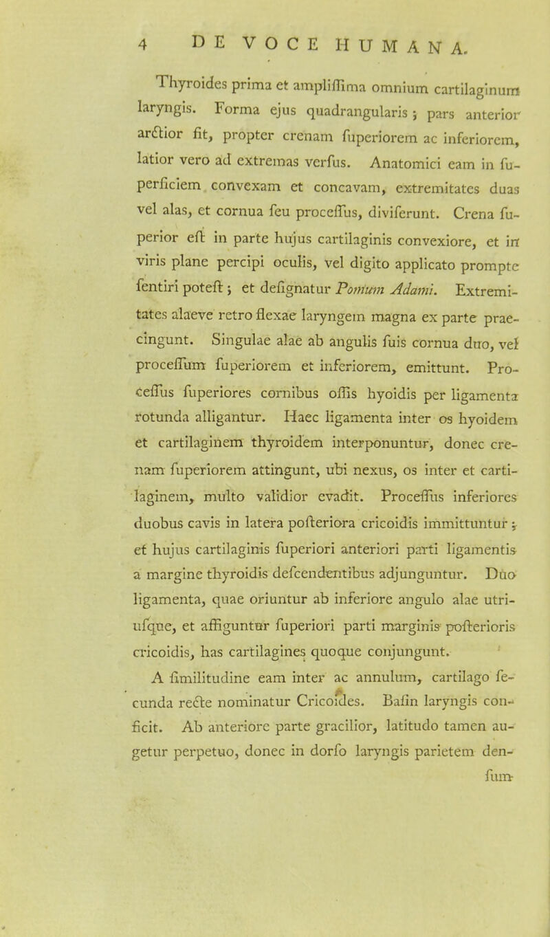 Thyroides prima et amplifTima omnium cartilaglnum laryngis. Forma ejus quadrangularis; pars anterior ardlior fit, propter crenam fuperiorem ac Inferlorem, latior vero ad extremas verfus. Anatomic! eam in fu- perficiem convexam et concavam, extremitates duas vel alas, et cornua feu proceffus, diviferunt. Crena fu- perior ert: in parte hujus cartilaginis convexiore, et in viris plane percipi ocuHs, vel digito applicato prompte fentiri pot eft; et defignatur Ponium Adami. Extremi- tates alaeve retro flexae laryngem magna ex parte prae- cingunt. Singulae alae ab angulis fuis cornua duo, vel proceflum fuperiorem et infcriorem, emittunt. Pro- Ceflus fuperiores comibus offis hyoidis per ligamenta rotunda alligantur. Haec ligamenta inter os hyoidem et cartilaginem thyroidem interponuntur, donee cre- nam fuperiorem attingunt, ubi nexus, os inter et carti- laginem, multo validior cvadit. Proceffus Inferiores duobus cavis in latera pofteriora cricoidis immittuntur ; et hujus cartilaginis fuperiori anterlori parti ligamentis a margine thyroidis defcendentibus adjunguntur. Duo ligamenta, quae oriuntur ab inferiore angulo alae utrl- ufque, et afEguntur fuperiori parti marginis pofterioris a-icoidis, has cai-tilagines quoque conjungunt. ' A fimilitudine eam inter ac annulum, cartilago fe- cunda redte nominatur Cricoicles. Bafin laryngis con- ficit. Ab anteriore parte gracillor, latitudo tamen au- getur perpetuo, donee in dorfo laryngis parietem den- fum