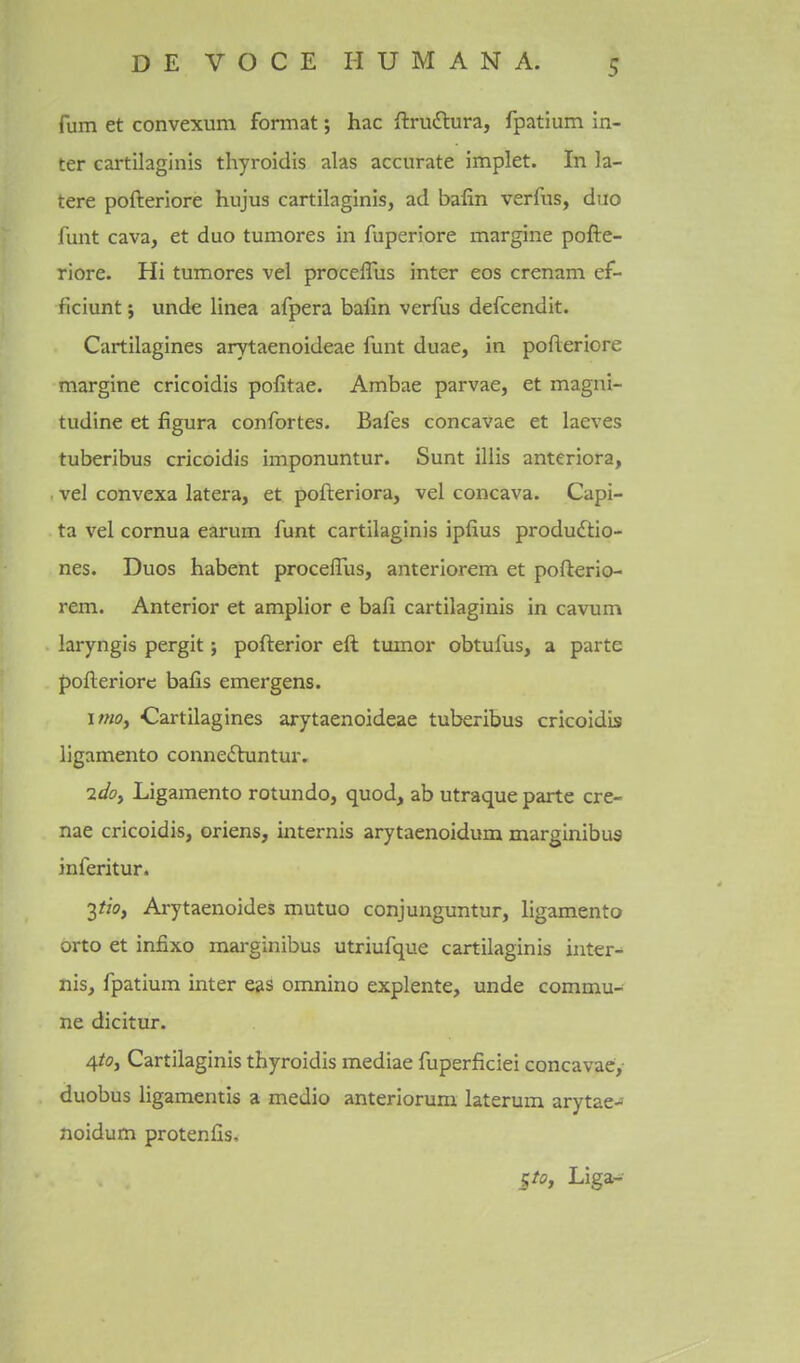 fum et convexum format; hac ftruilura, fpatium in- ter cartilaginis thyroidis alas accurate implet. In la- tere pofteriore hujus cartilaginis, ad bafin verfus, duo funt cava, et duo tumores in fuperiore margine pofte- riore. Hi tumores vel procelTus inter eos crenam ef- ficiunt; unde linea afpera balin verfus defcendit. Cartilagines arytaenoideae funt duae, in pofteriore margine cricoidis pofitae. Ambae parvae, et magni- tudine et figura confortes. Bafes concavae et laeves tuberibus cricoidis imponuntur. Sunt iliis anteriora, vel convexa latera, et pofteriora, vel concava. Capi- ta vel cornua earum funt cartilaginis ipfius produftio- nes. Duos habent proceftus, anteriorem et pofterio- rem. Anterior et amplior e baft cartilaginis in cavum laryngis pergit; pofterior eft tumor obtufus, a parte pofteriore bafts emergens. imo, Cartilagines arytaenoideae tuberibus cricoidis ligamento connedluntur. 2cioy Ligamento rotundo, quod, ab utraque parte ere- nae cricoidis, oriens, internis arytaenoidum marginibus inferitur. 3?io, Arytaenoides mutuo conjunguntur, ligamento orto et infixo marginibus utriufque cartilaginis intcr-^ nis, fpatium inter eas omnino explente, unde commu- ne dicitur. 4to, Cartilaginis thyroidis mediae fuperficiei concavae,- duobus ligamentis a medio anteriorum laterum arytae-i noidum protenfis, §tOy Liga-