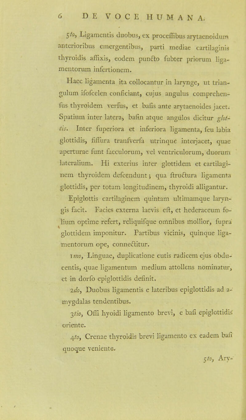 5/0, Ligamentis duobus, ex procelTibus arytacnoldum anterioribus emergentibus, parti mediae cartilaginis thyroidis affixis, eodem puncto fubter priorum liga- mentorum infertionem. liaec ligamenta ita collocantur in larynge, ut trian- gulum ifofcelen conficiantj cujus angulus comprehen- fus thyroidem verfus, et bafis ante arytaenoides jacet. Spatium inter lateraj bafin atque angiilos dicitur g/oi- tls. Inter fuperiora et inferiora ligamenta, feu labia glottidis, fiflura tranfverfa utrinqud interjacet, quae aperturae funt facculorum, vel ventriculorum, duorum lateralium. Hi exterius inter glottidem et cartilagi- nem thyroidem defcendiint j qua ftruftura ligamenta glottidis, per totam longitudinem, thyroidi alligantur. Epiglottis cartilaginem quintam ultimamque laryn- gis facit. Facies externa laevis eft, et hederaceum fo- lium optlme refert, reliquifque omnibus mollior, fupra glottidem imponitur. Partibus vicinis, quinque liga- mentorum ope, conneclitur. I/WO, Linguae, duplicatione cutis radicem ejus obdu- centis, quae ligamentum medium attollens nominatur, et in dorfo epiglottidis definit. 2doi Duobus ligamentis e lateribus epiglottidis ad a- mygdalas tendentibus. 3^/o, Offi hyoidi ligamento brevi, e bafi epiglottidis oriente. 4/0, Crenae thyroidis brevi ligamento ex eadem bail quoque veniente. 5/5, Ary-